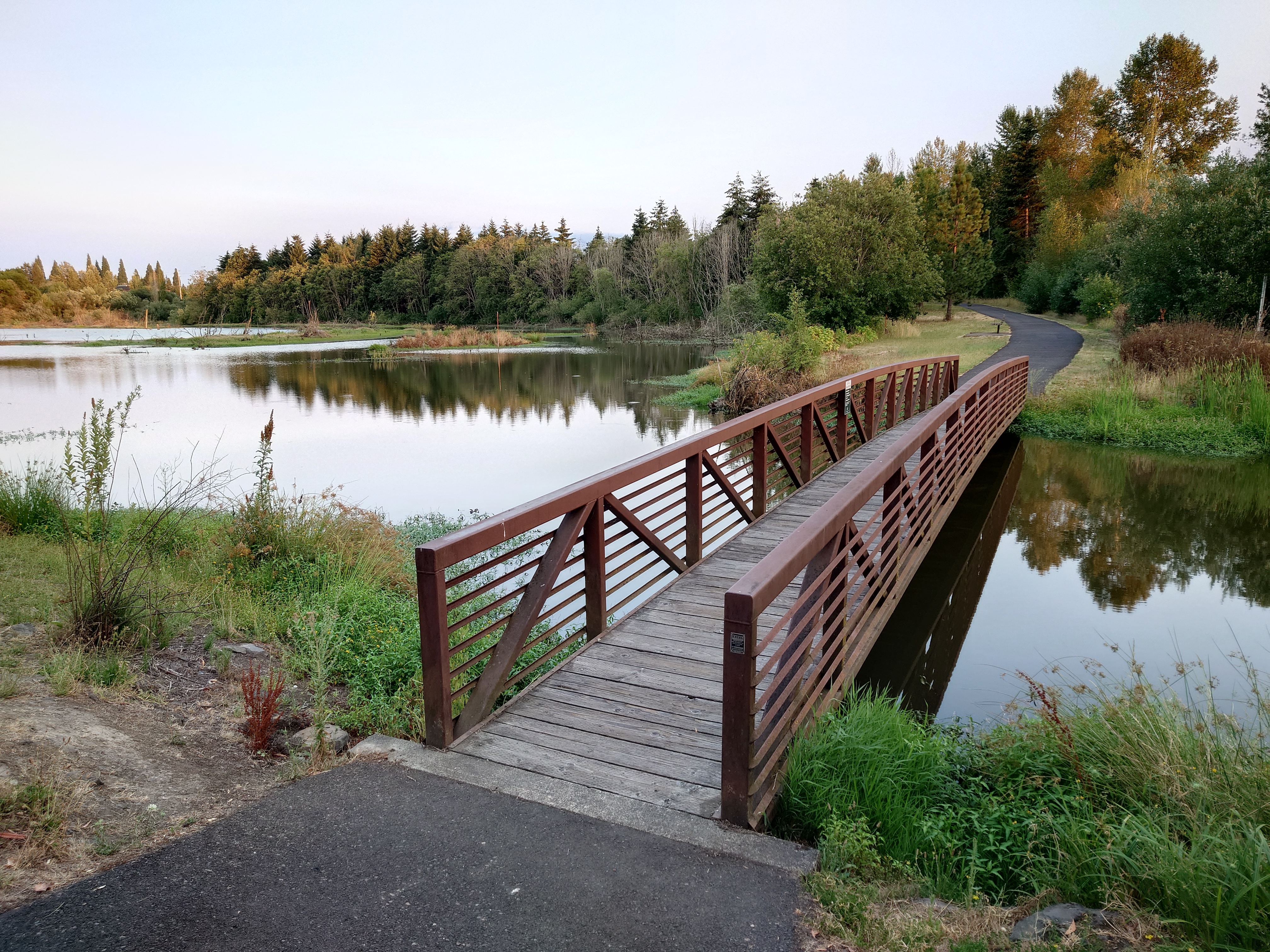 Wooden footbridge with metal railings crossing a calm wetland creek lined with trees.