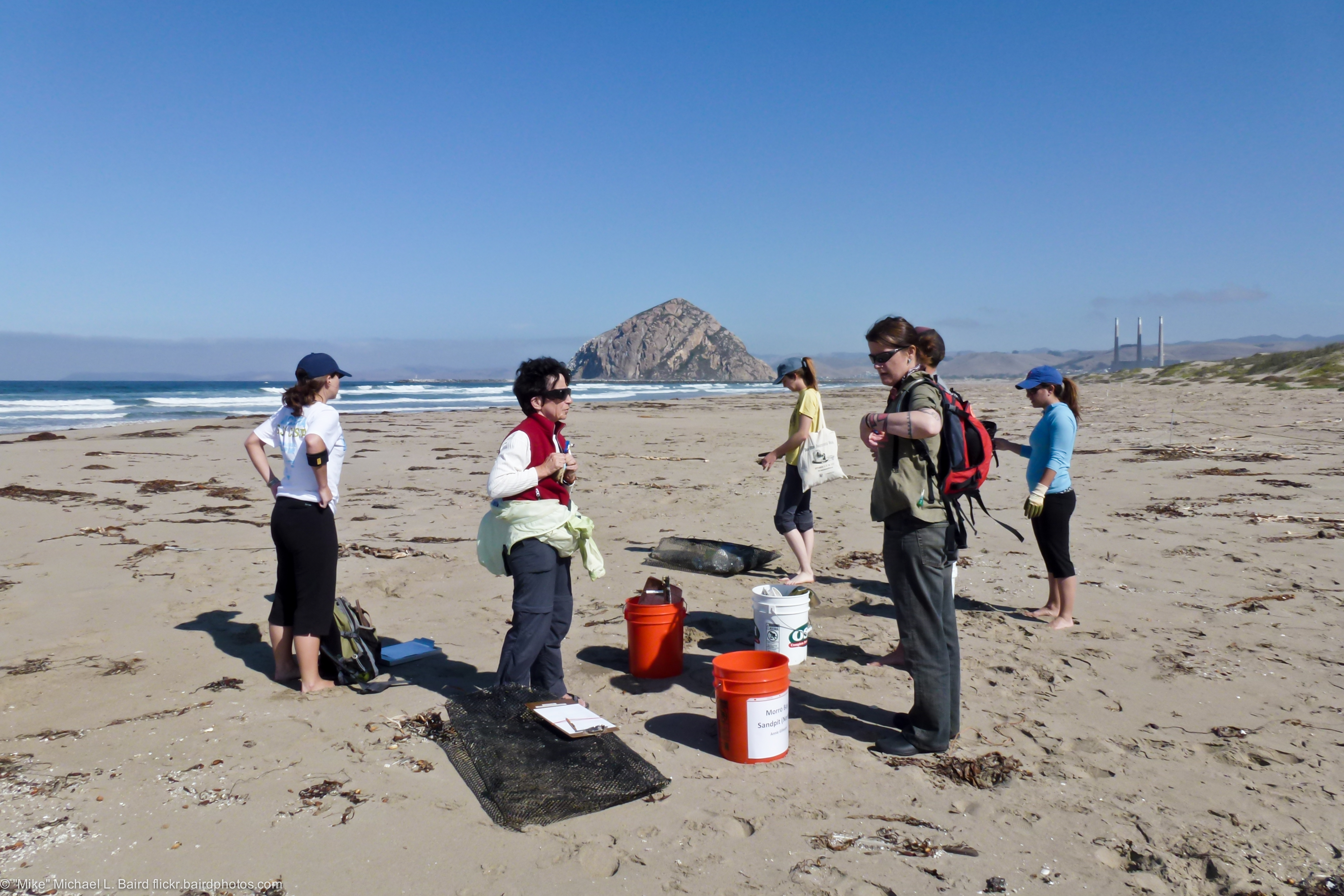 Volunteers holding cleanup buckets stand on a sandy beach near the water on a sunny day.