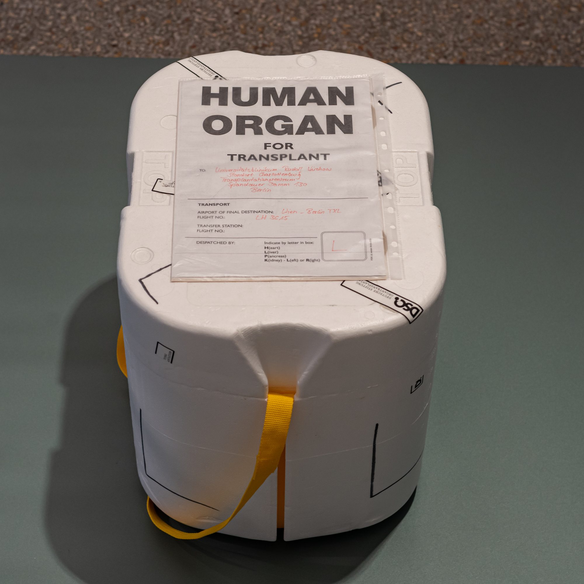 Transport box for a liver transplant displayed in the Berlin Museum of Medical History, Germany.