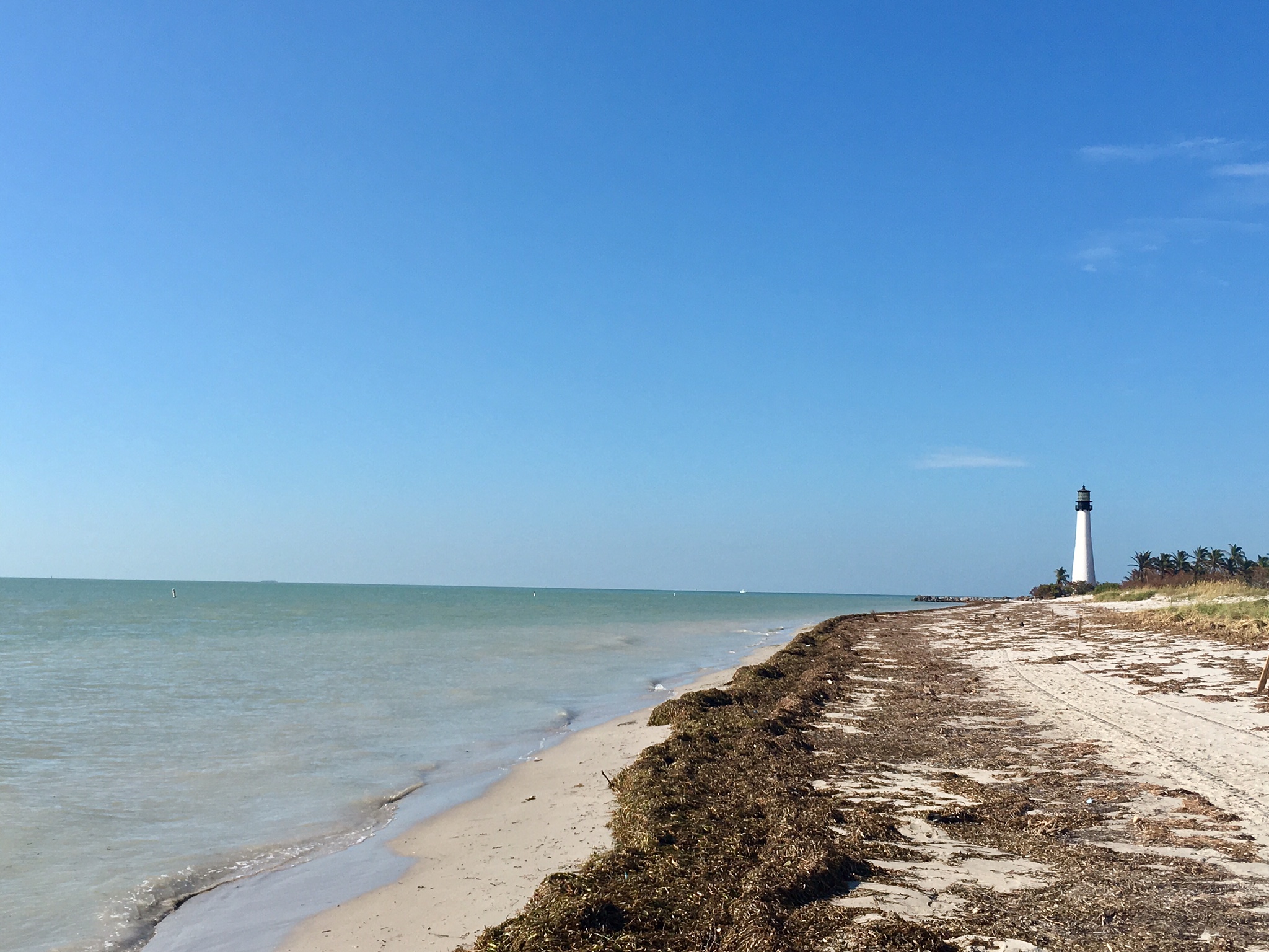 Sandy beach with calm turquoise water and a lighthouse flanked by palm trees.
