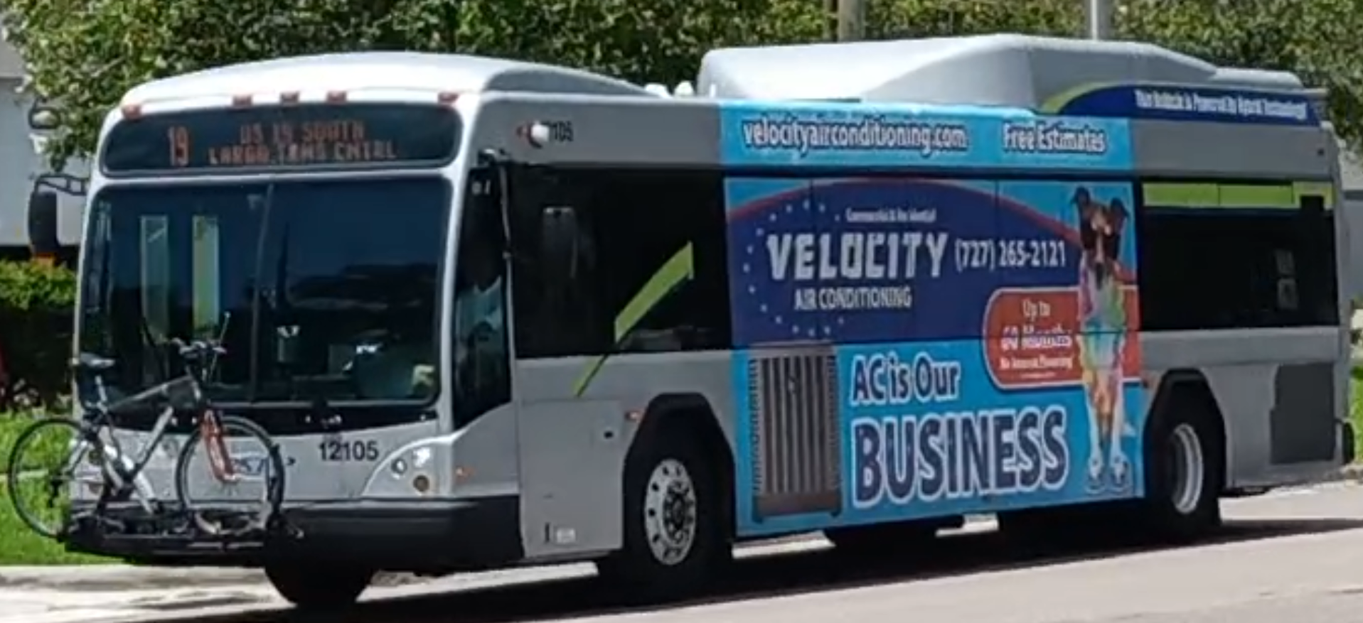 PSTA articulated transit bus with advertisement wrap stopped near trees.