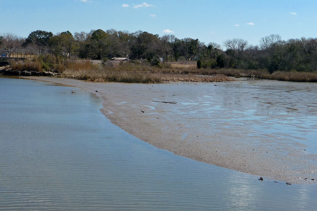 Tidal creek with sandy shoal exposed at low tide, lined by bare trees and marsh grass