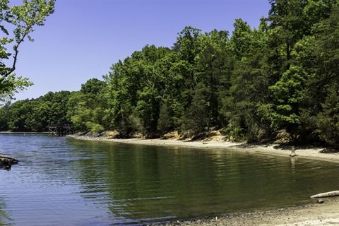 Tree-lined lake shoreline with calm water and a small wooden dock.