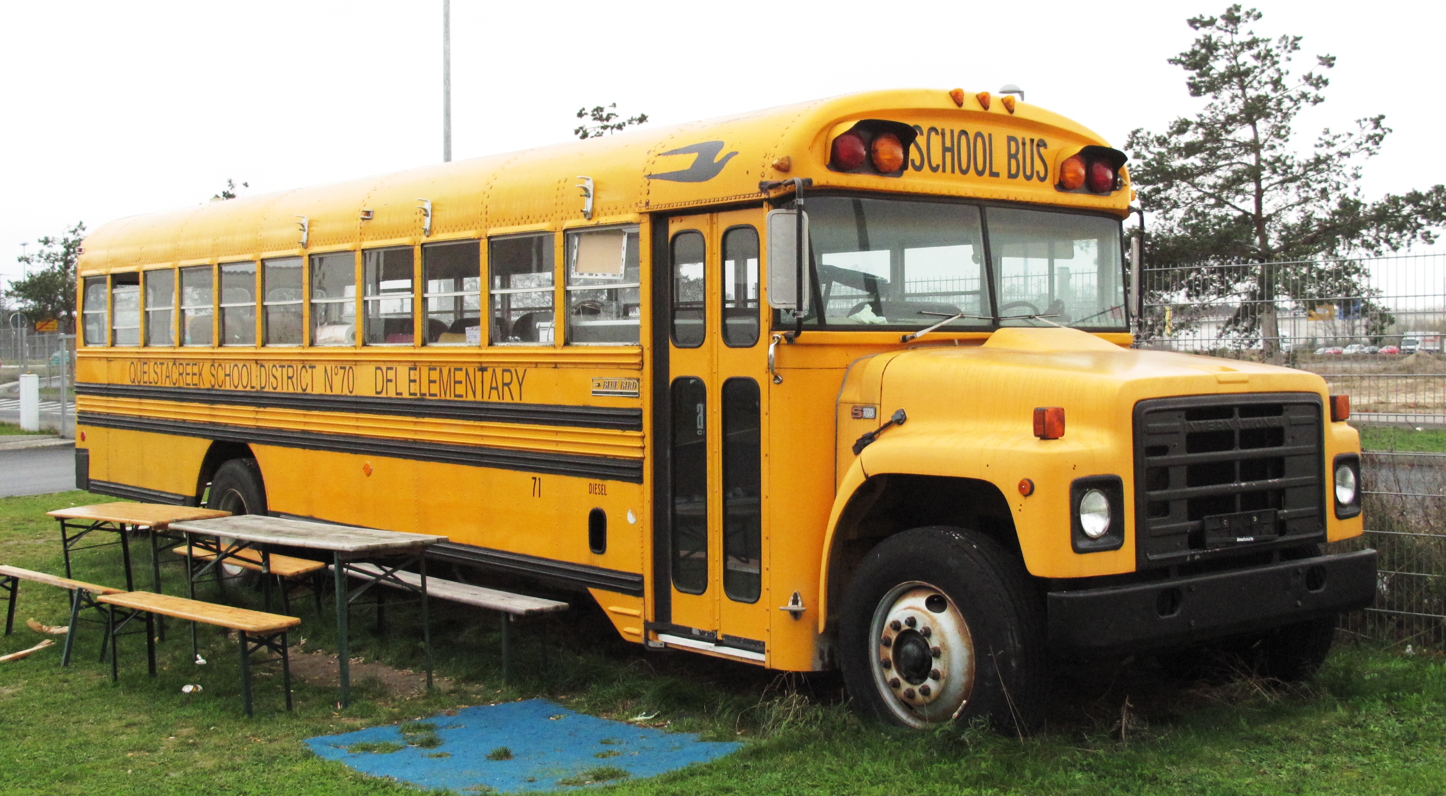 A yellow flat-front school bus parked outdoors next to picnic tables.
