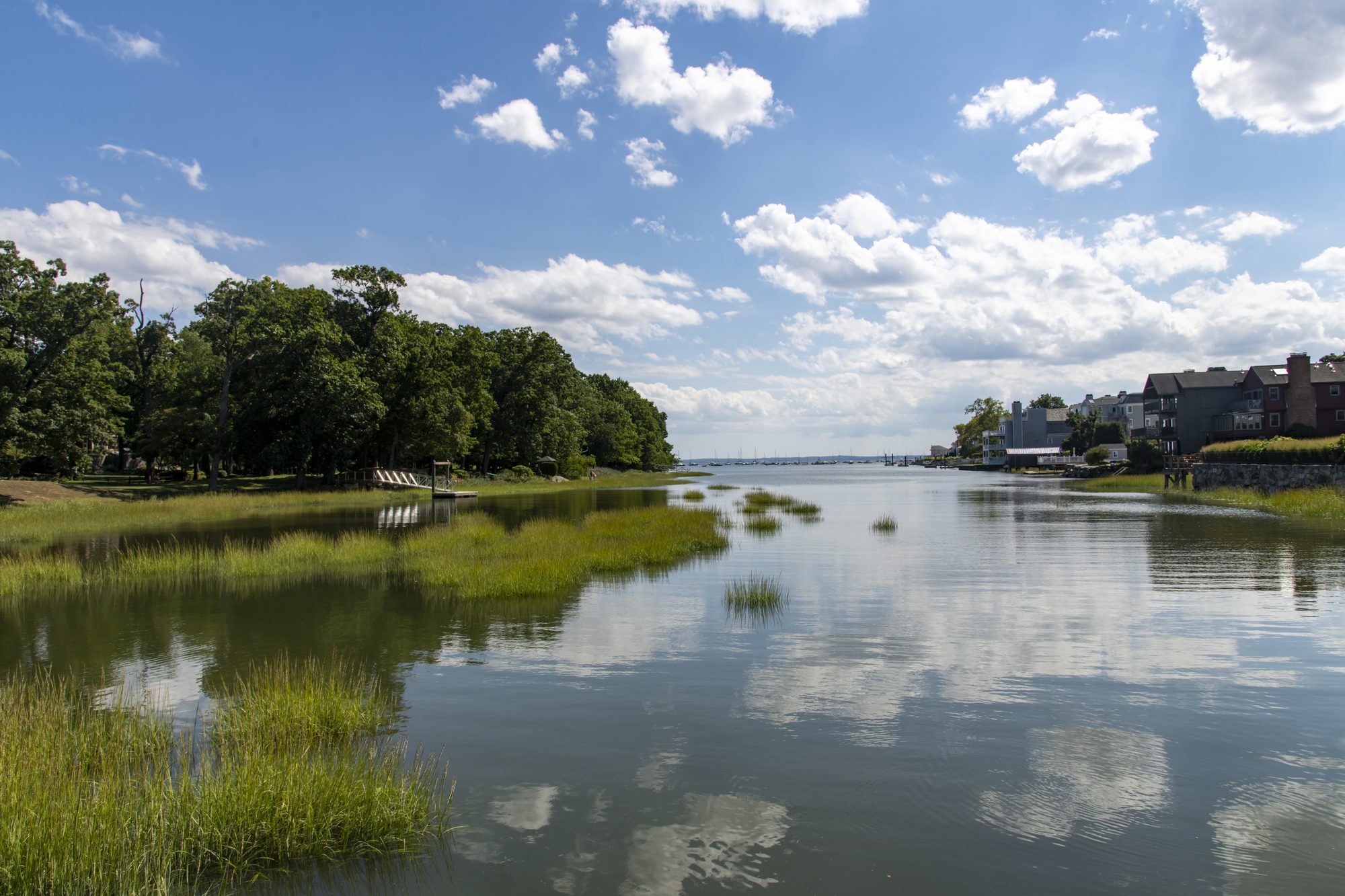 tranquil water of Smith Cove in Greenwich, CT
