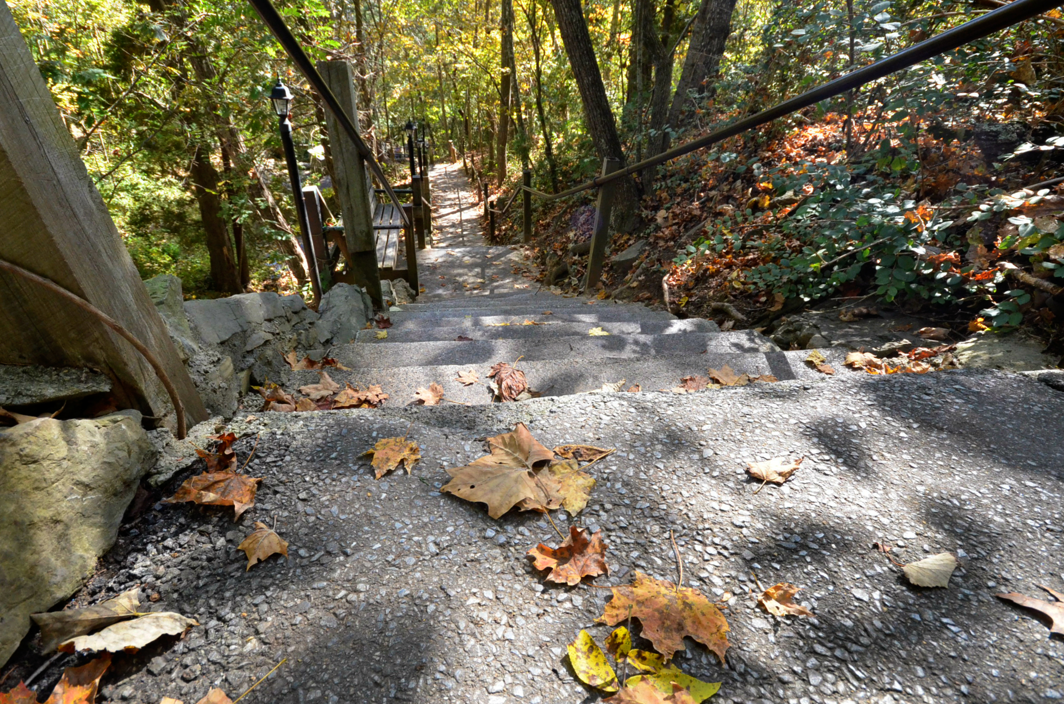 A park path with steps, metal railings, and autumn leaves descending through a wooded area.