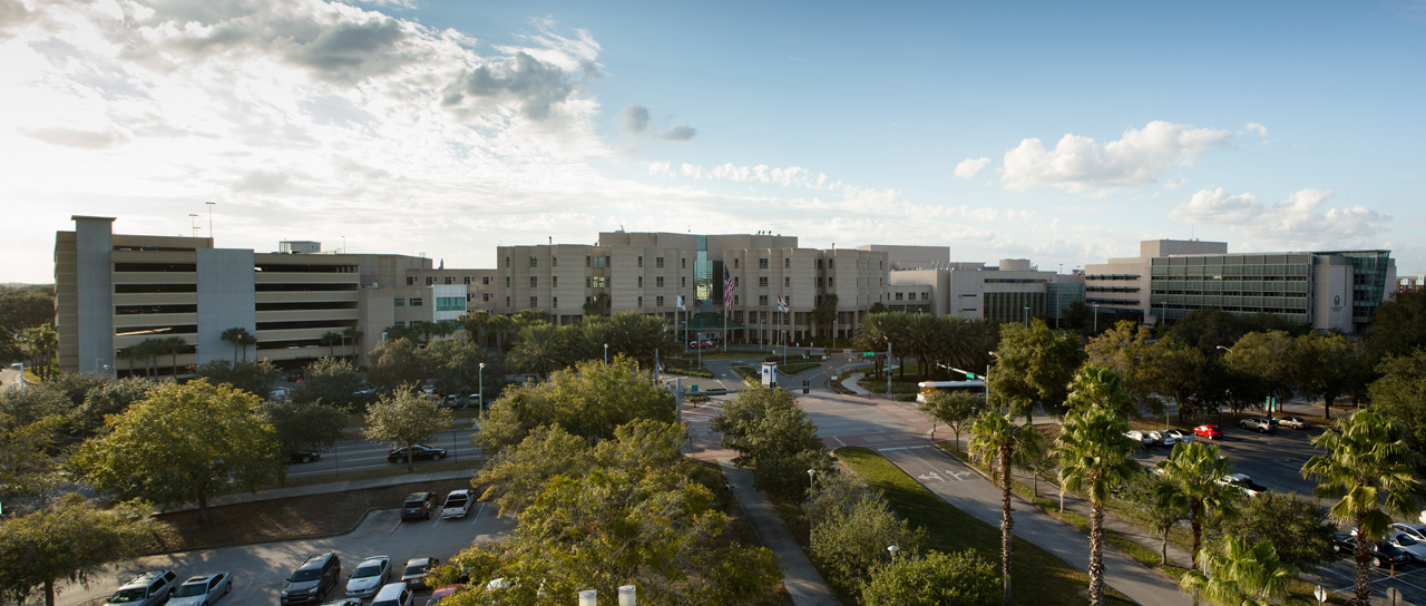 Elevated panoramic view of a large multi-building medical campus with palm trees and parking lots.