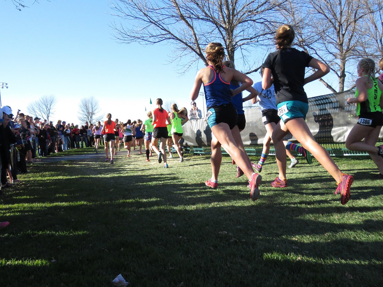 Cross country runners race across a grassy course lined with spectators and fencing beneath leafless trees.