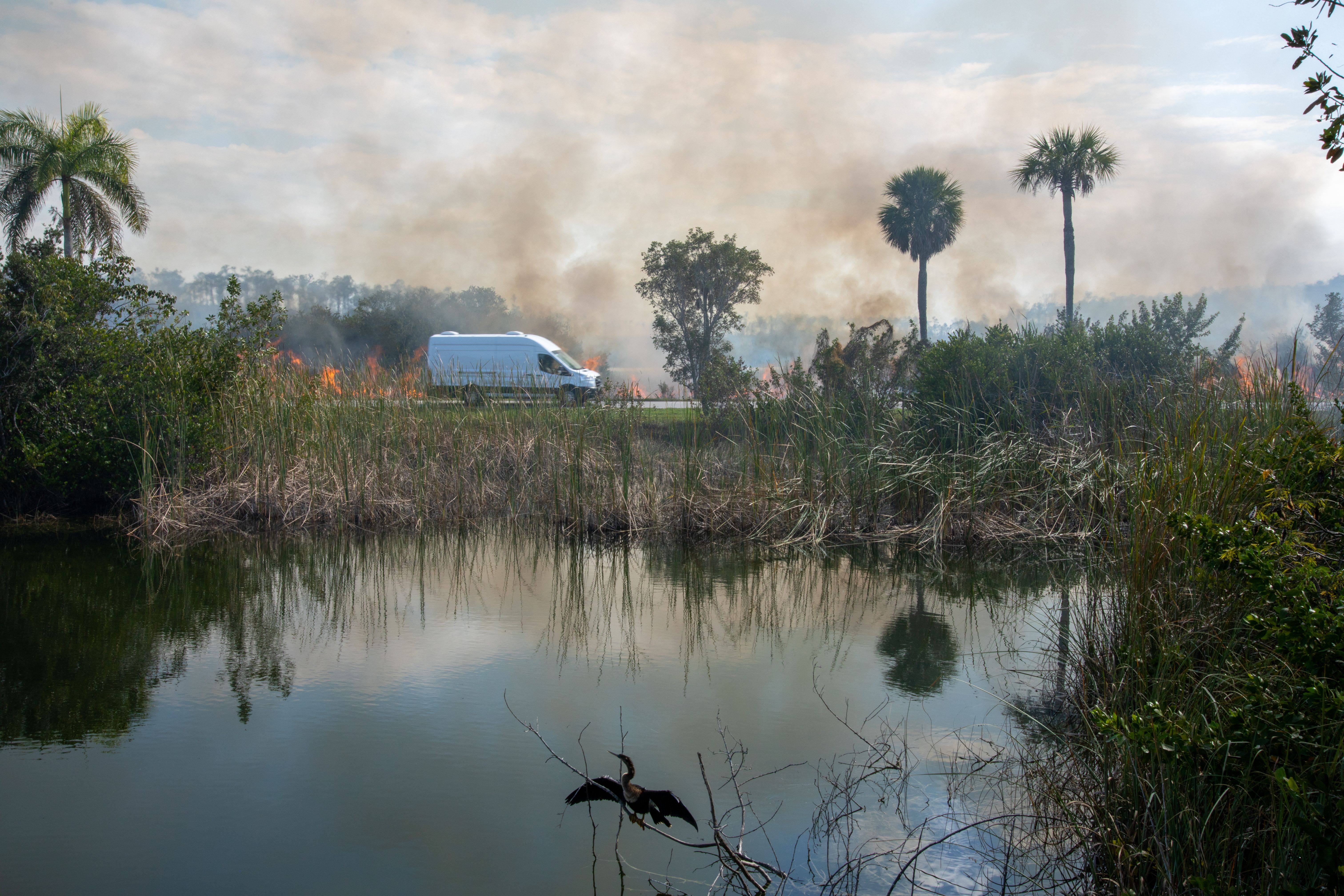 Flames and thick smoke rise from a prescribed burn along a Florida roadside.