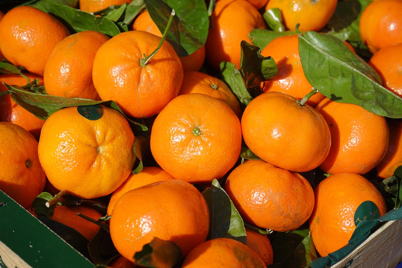 Clementines, fruit, vitamins, clementine, citrus × aurantium, hybrid, citrus plant, citrus, citrus fruit, tangerine, cit