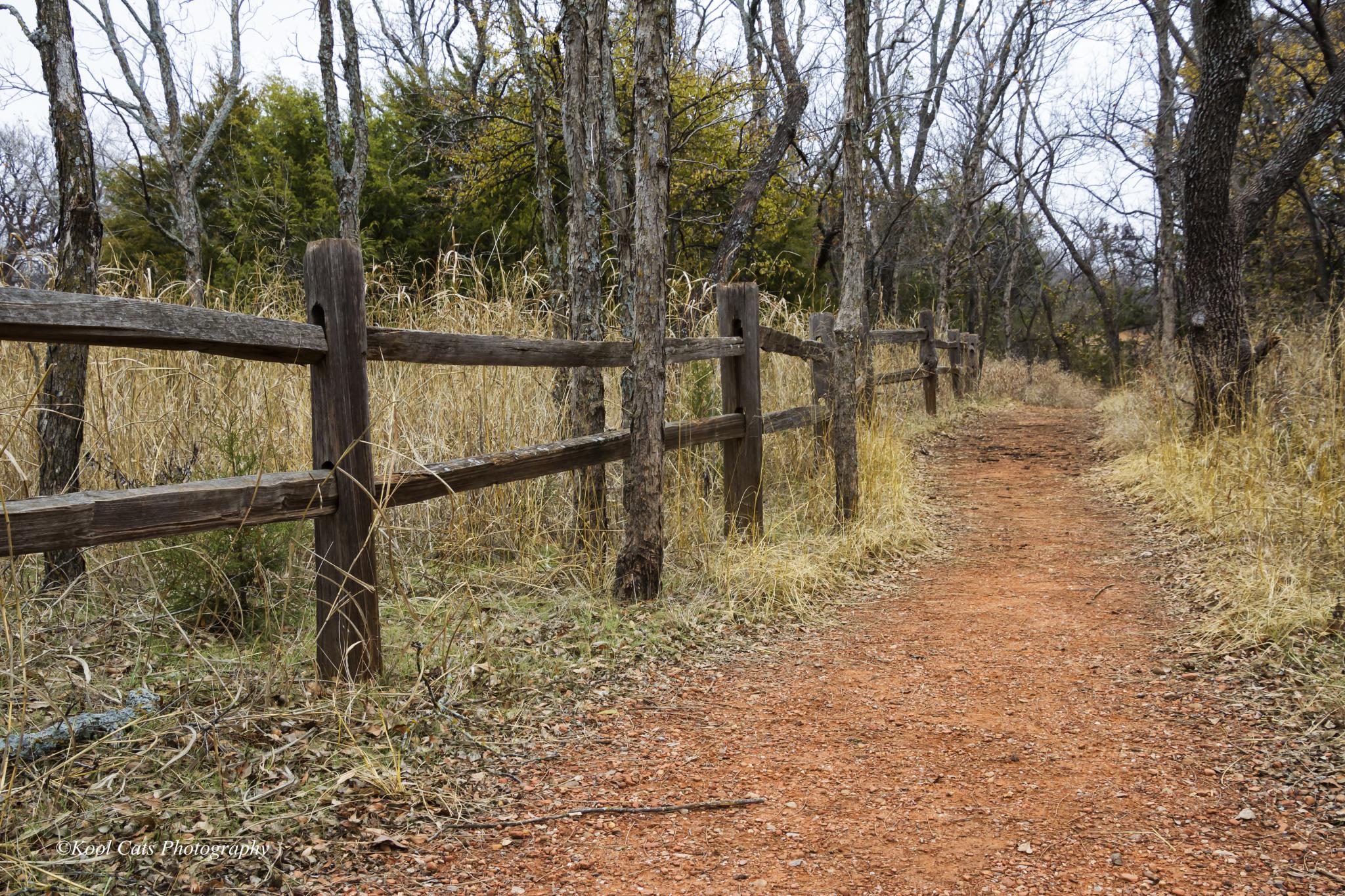 A dirt trail bordered by dry golden grasses and bare trees behind a split-rail fence.