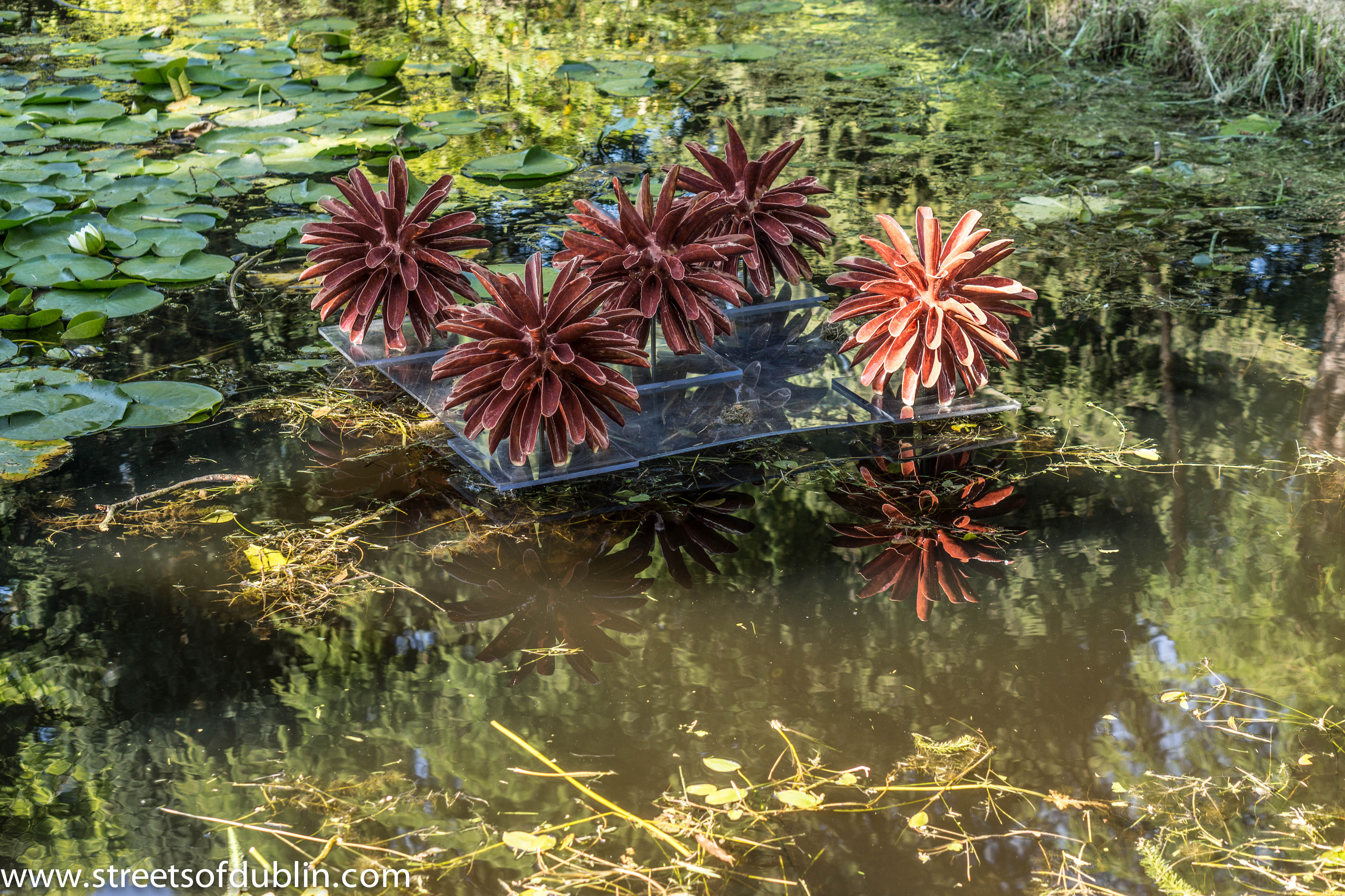 Dark red ceramic flower sculptures mounted on a platform floating on a lily-pad pond.