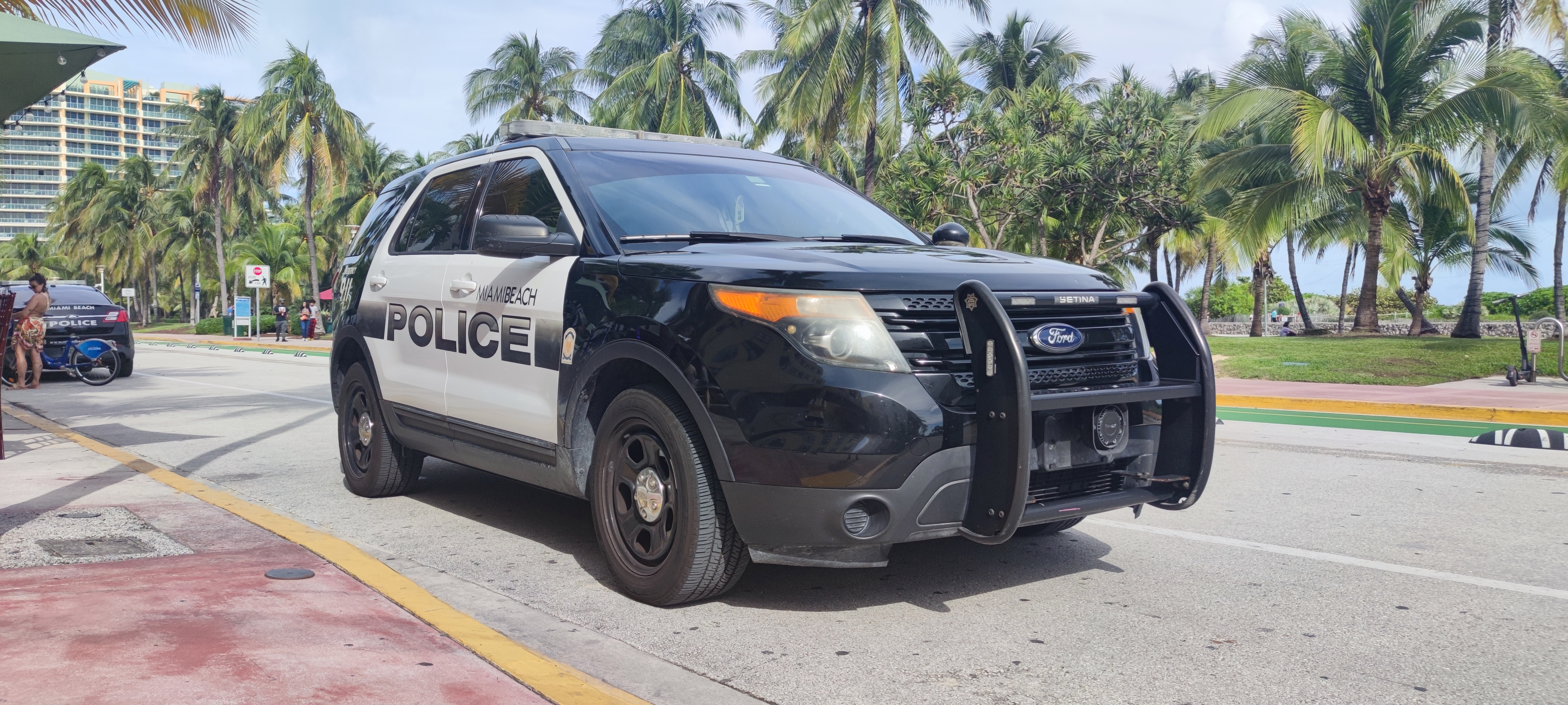 A black-and-white police SUV with a light bar parked on a palm-lined street.