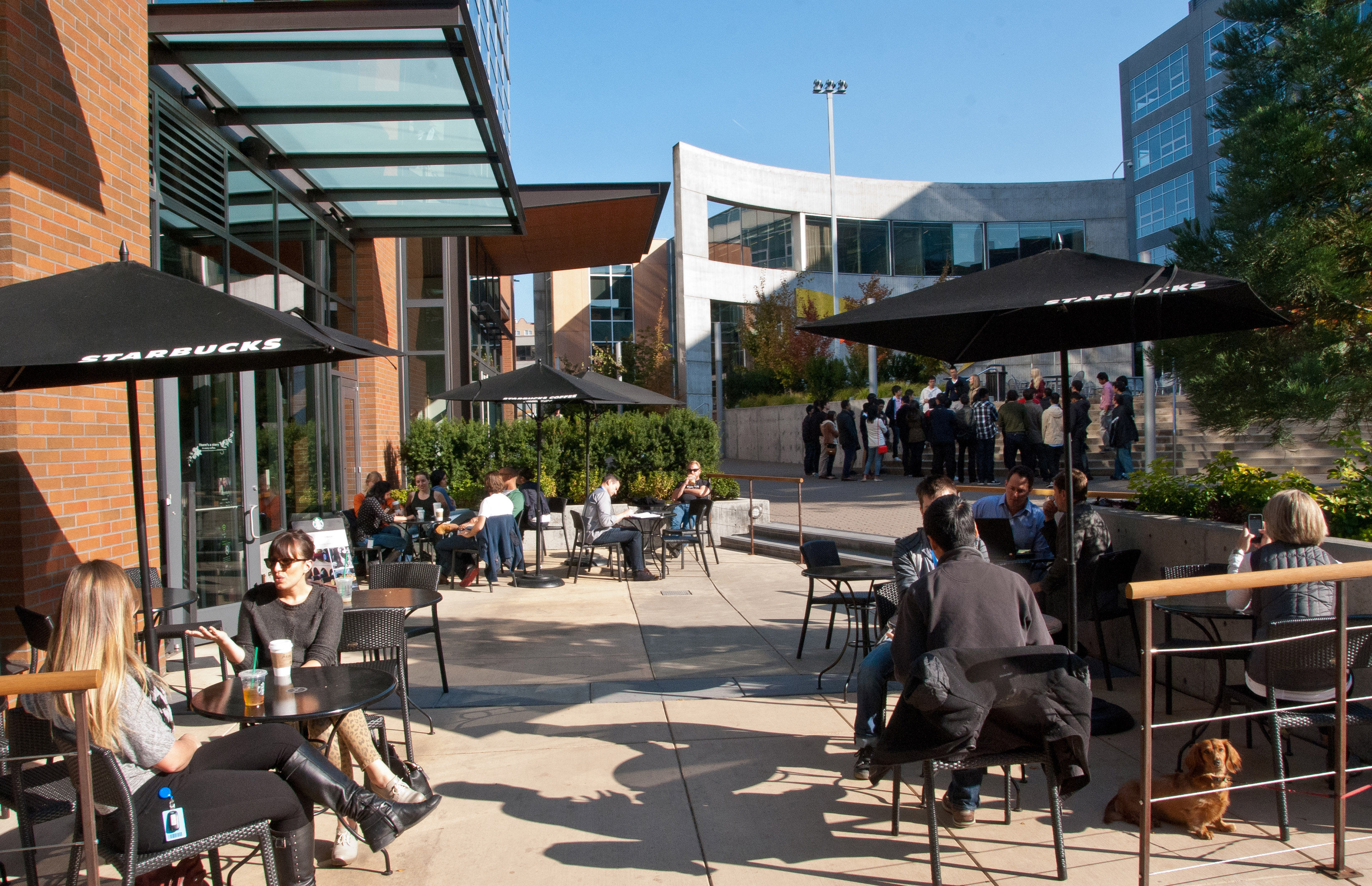 Outdoor patio with black branded umbrellas and people seated at tables near a brick building.