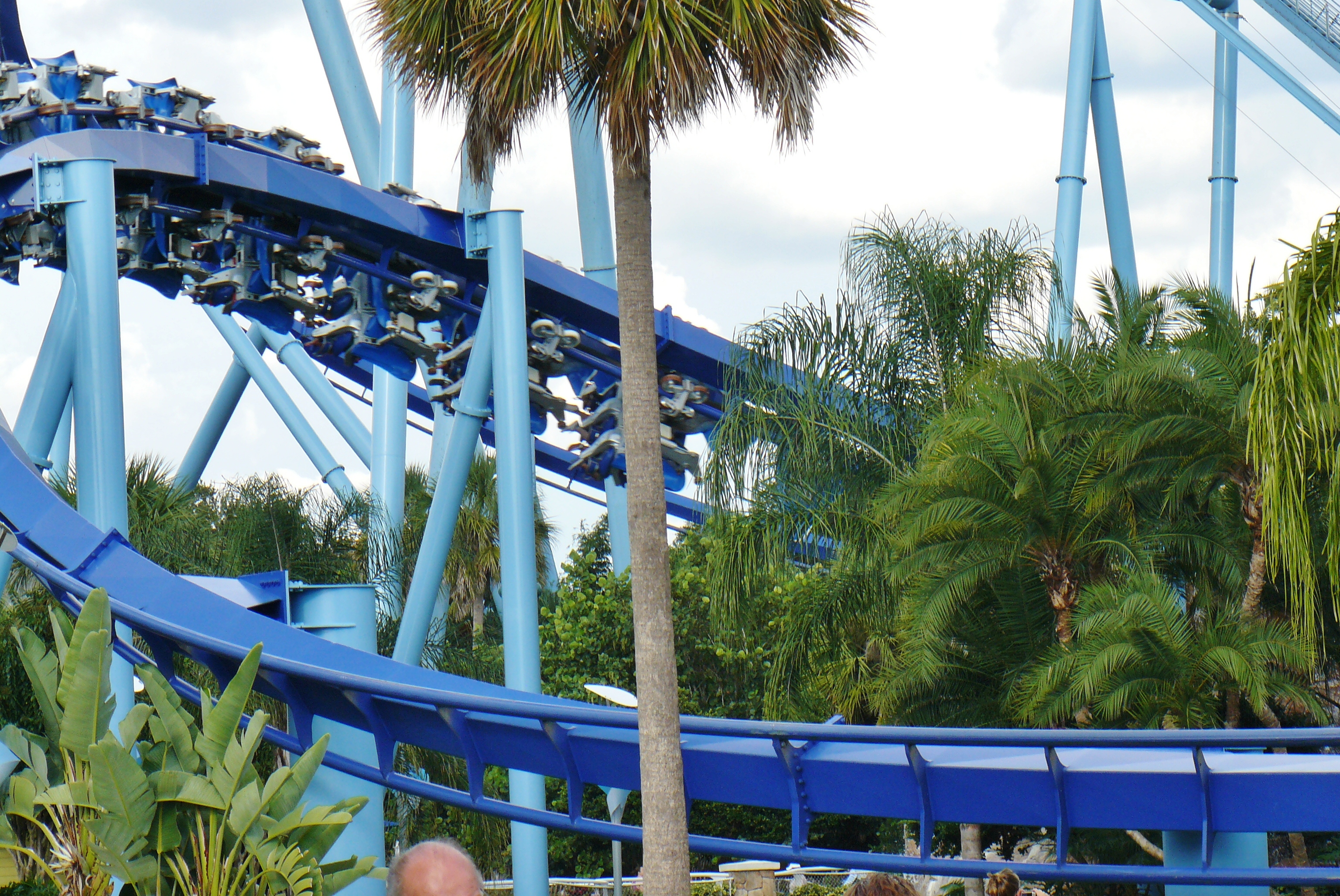 Blue roller coaster with riders at a theme park surrounded by palm trees.