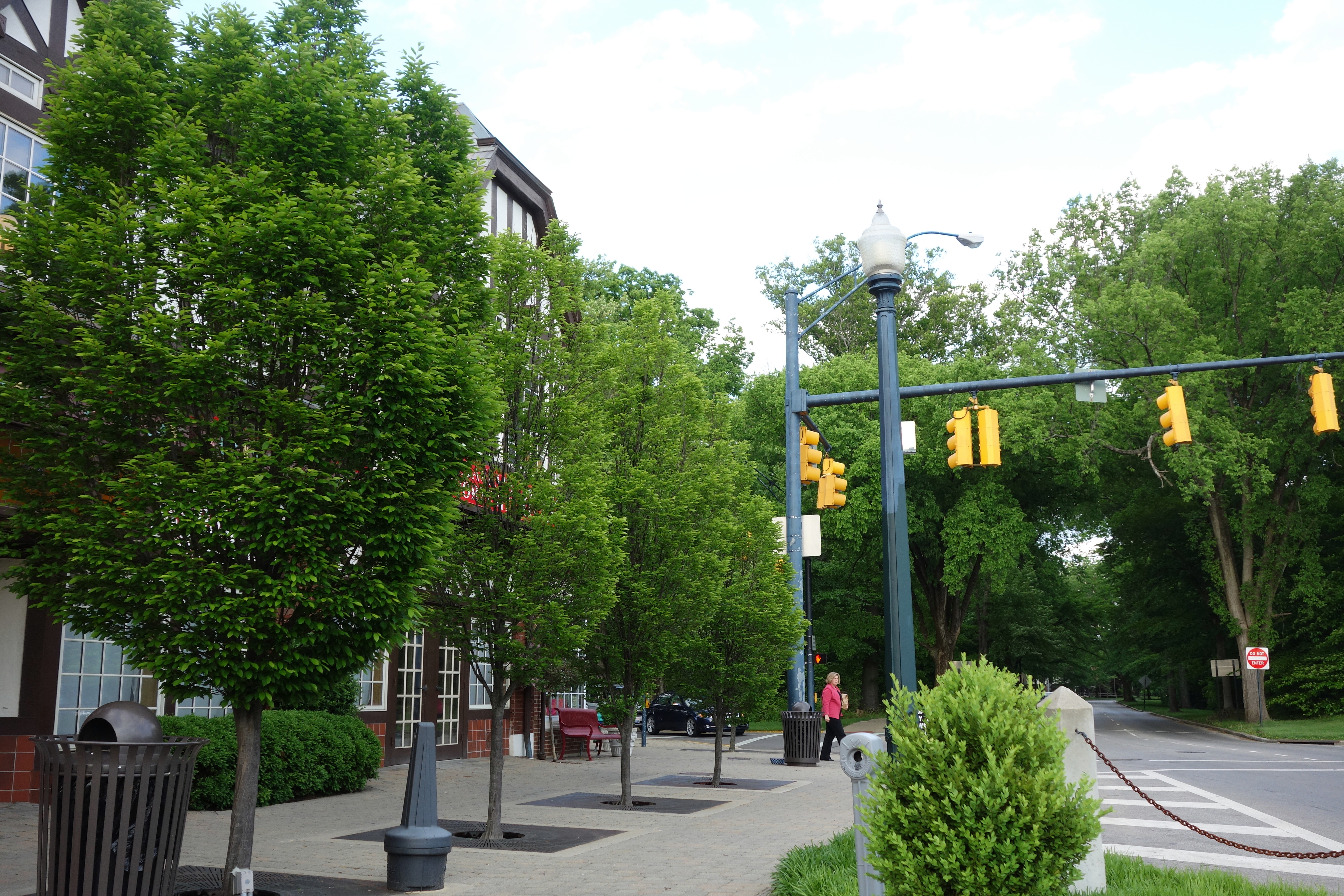 Tree-lined downtown street with brick buildings, lamp posts, and traffic signals.