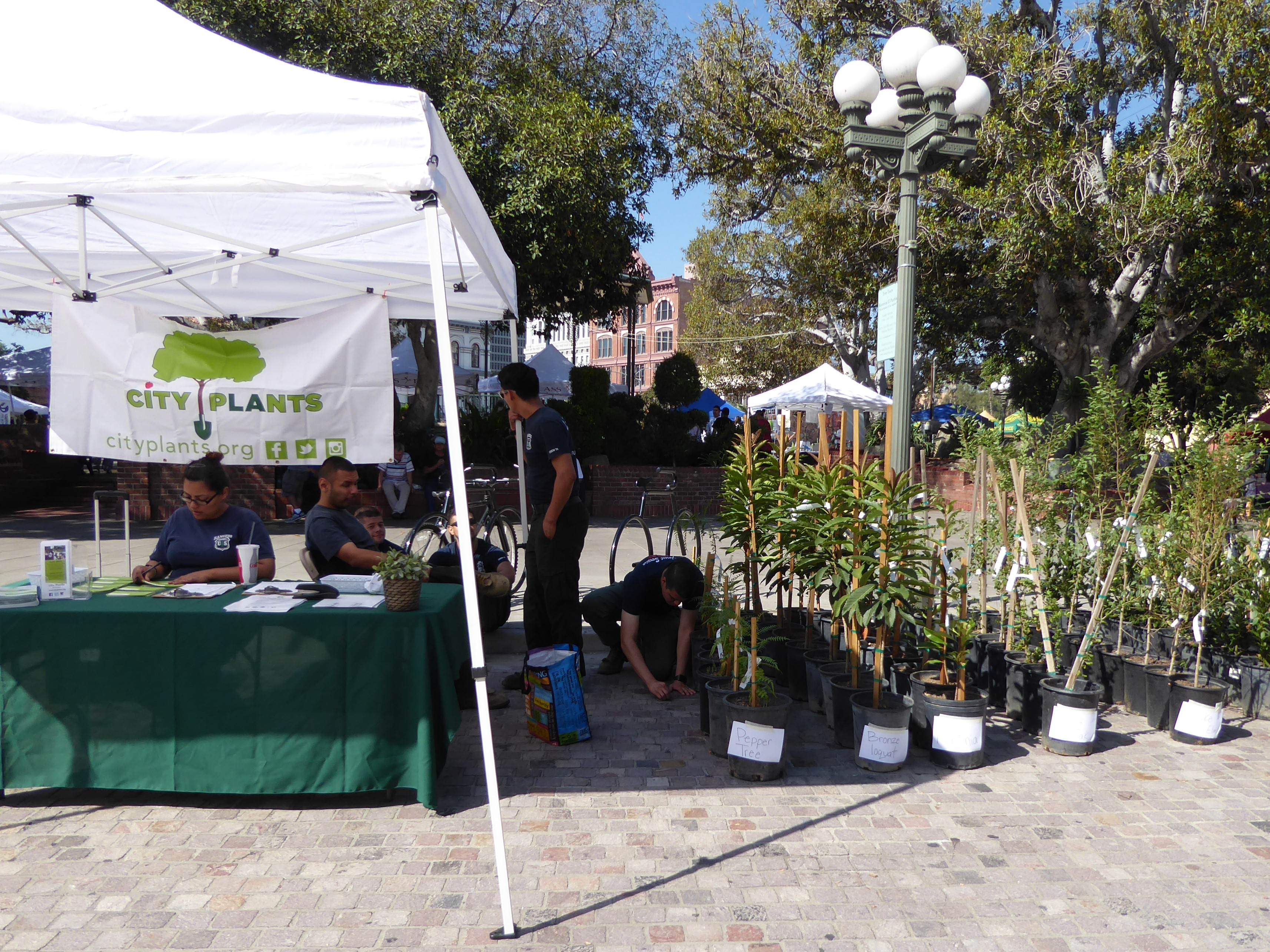 Rows of potted trees at an outdoor giveaway event under a white canopy tent.