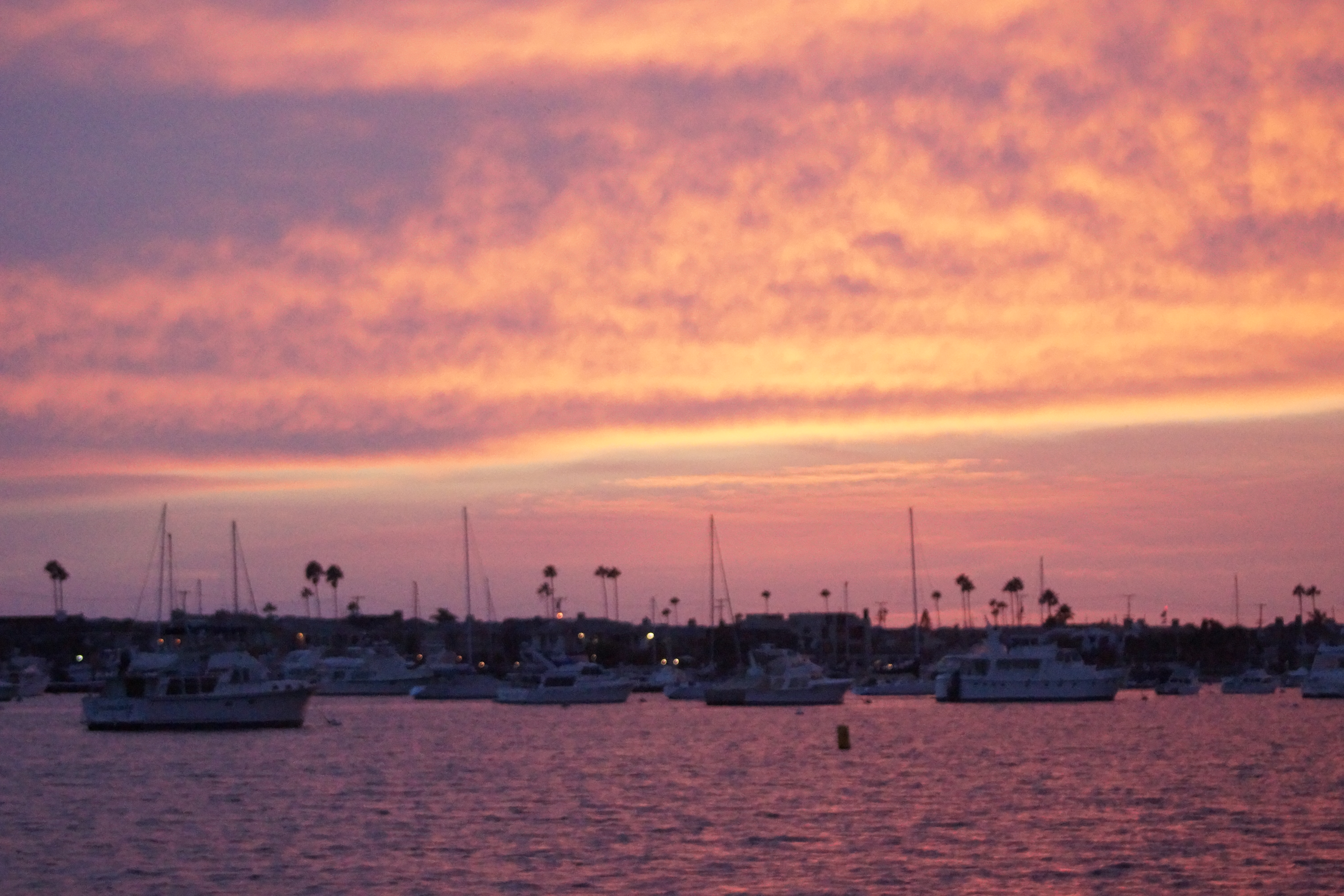 Sailboats silhouetted against a vivid pink and orange sunset sky in a calm harbor.
