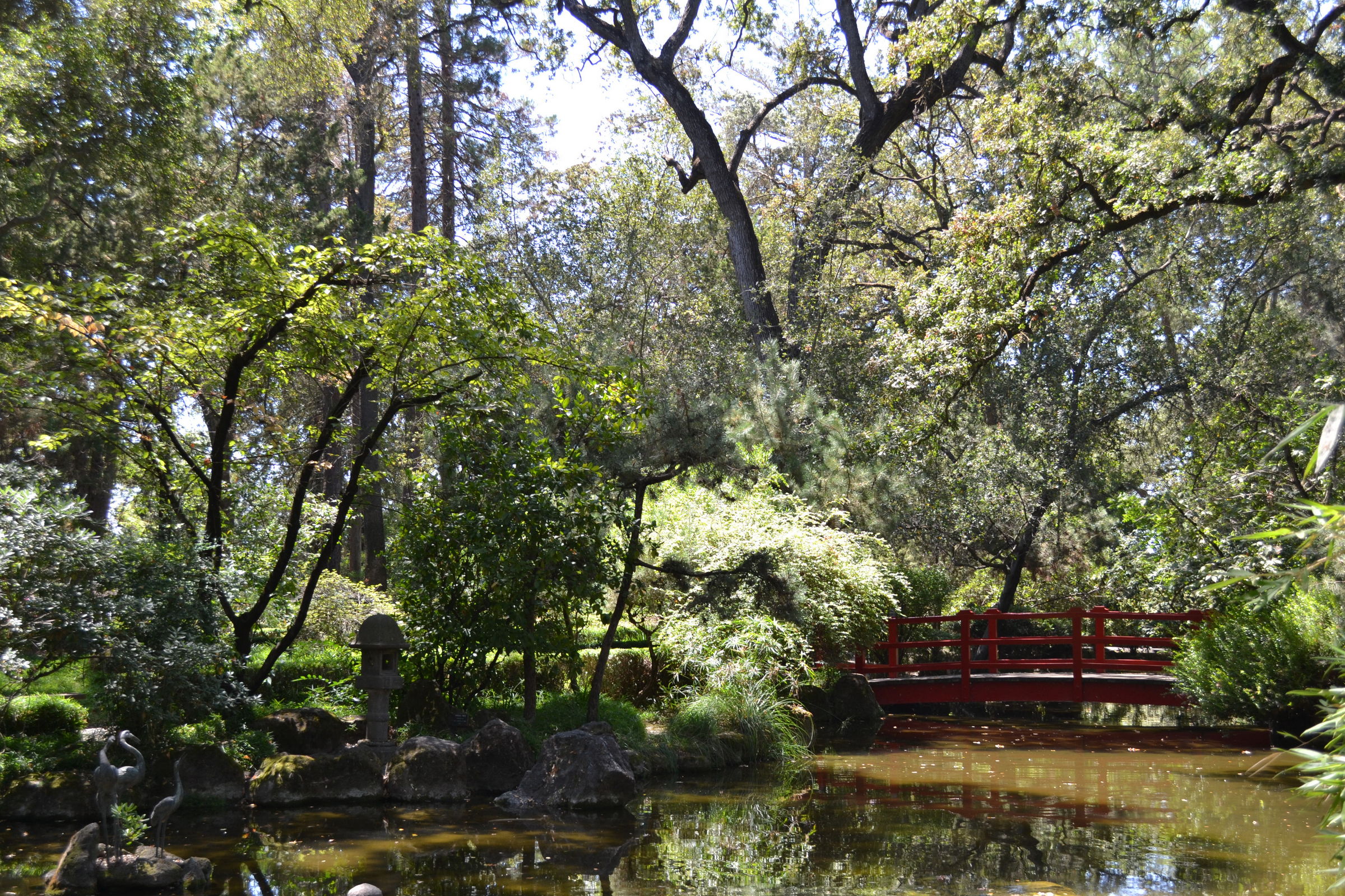 A red arched bridge spans a pond in a lush, tree-lined Japanese garden.
