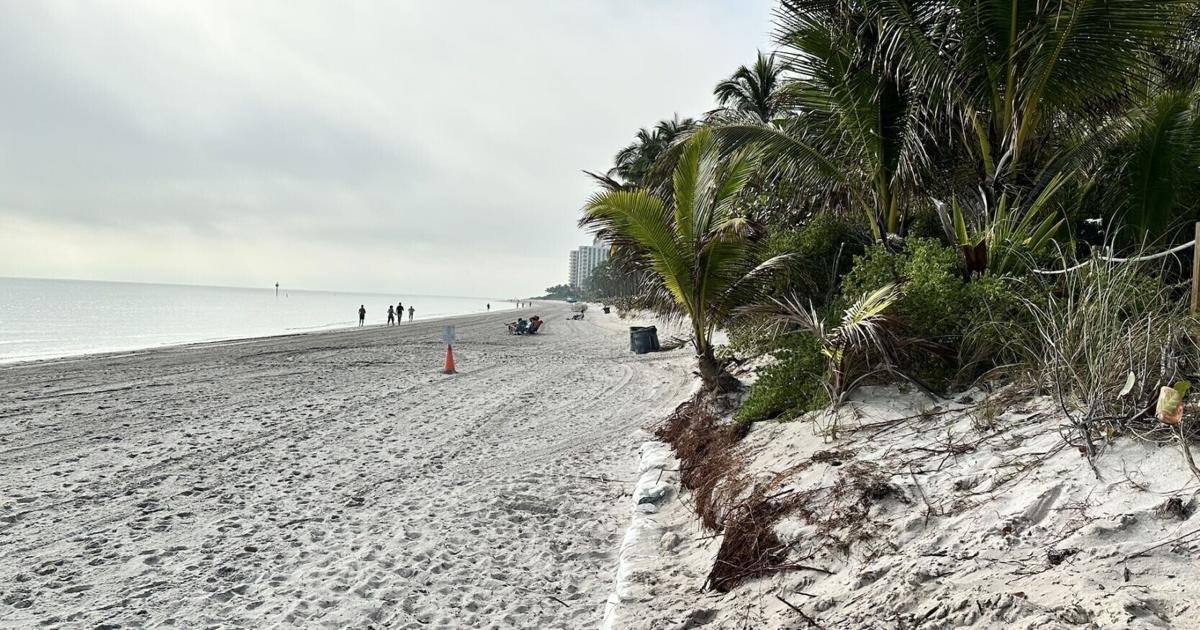Sandy beach with eroded dune edge, leaning palm trees, and overcast sky.