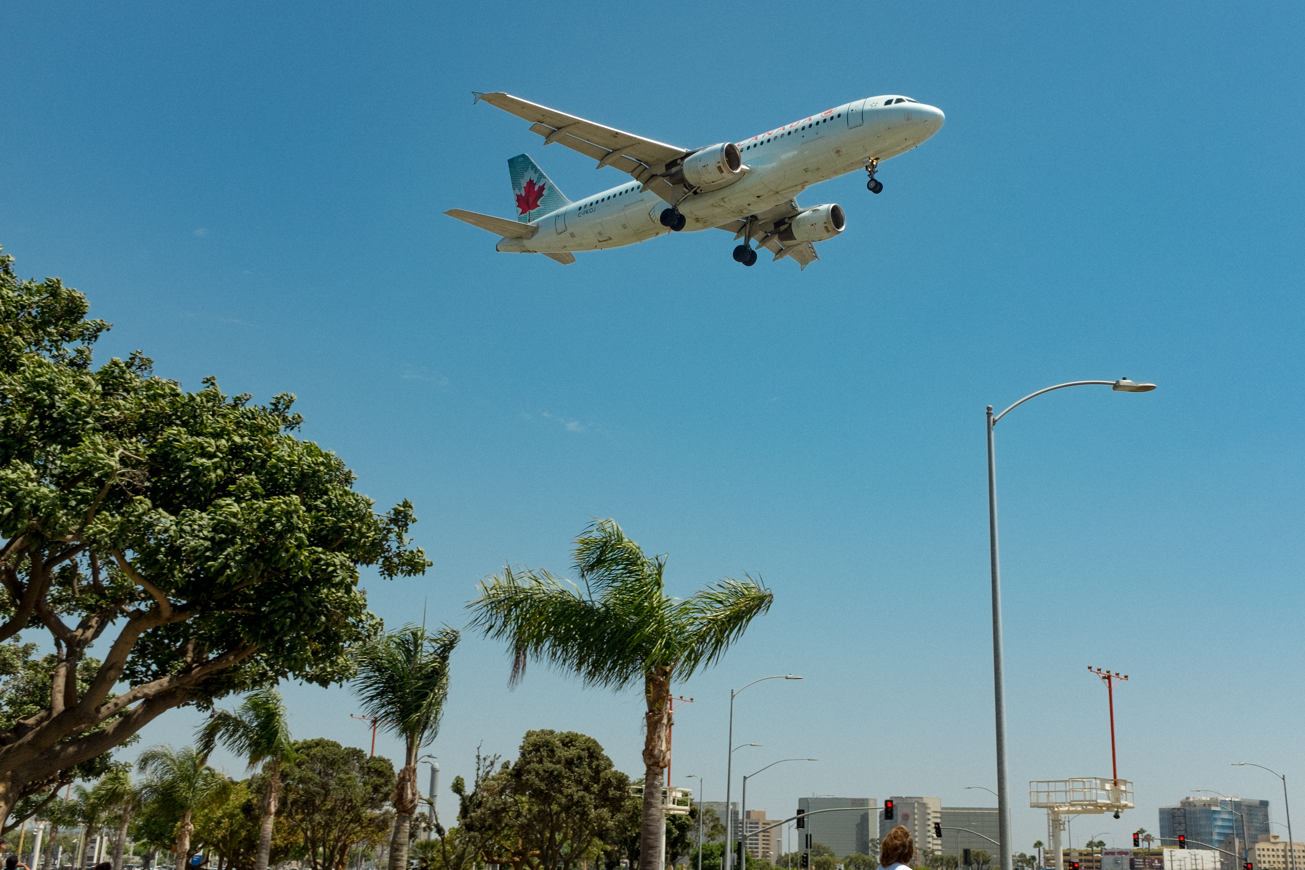 Airliner with landing gear down flying low over palm trees on approach to LAX.
