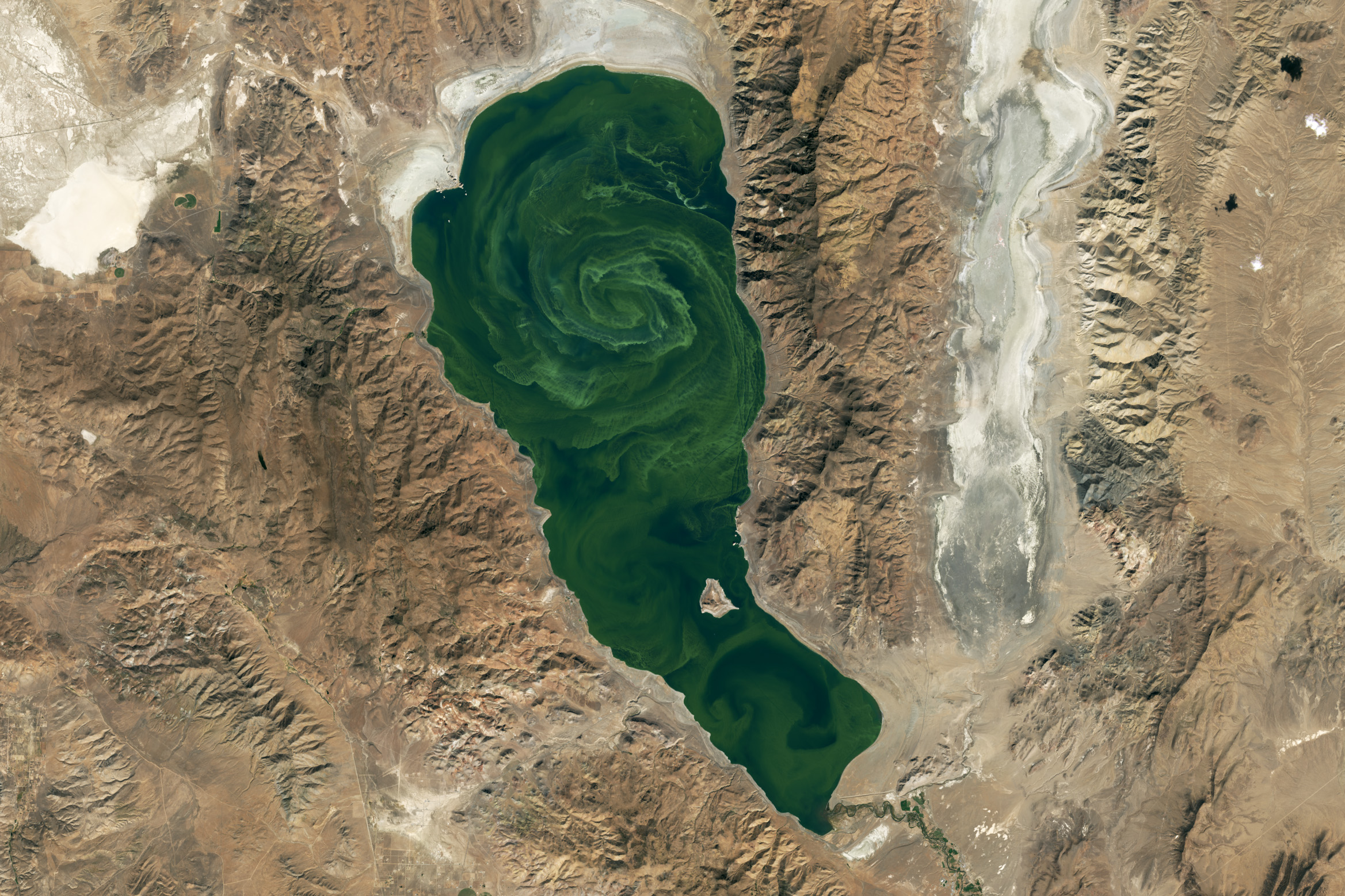 Satellite image showing swirling green algae bloom across a lake surface.