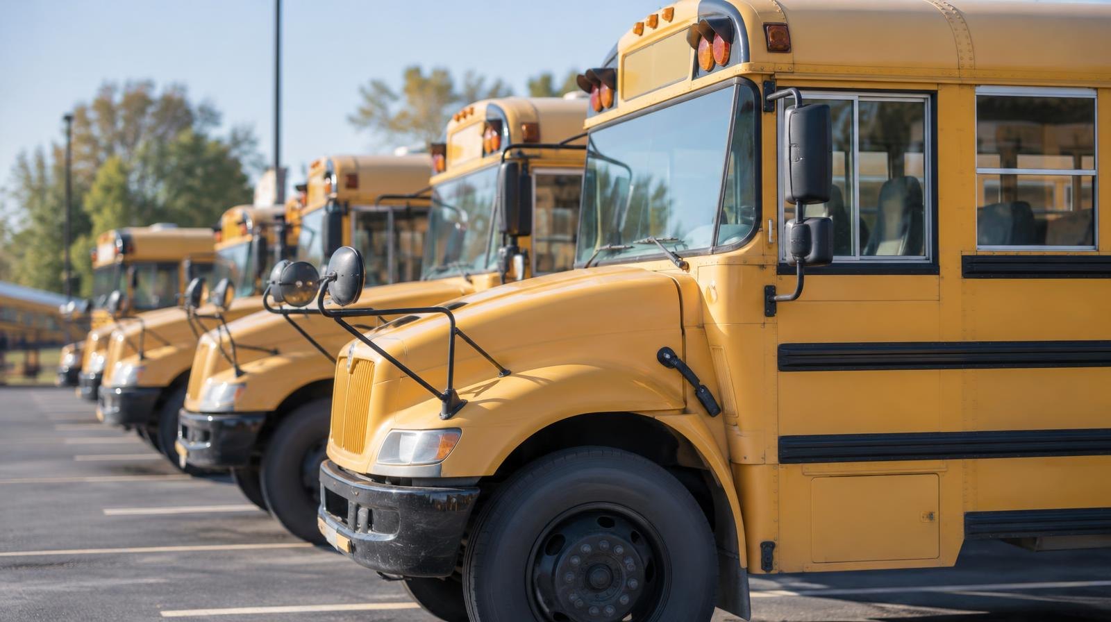 A row of yellow school buses parked side by side in a paved lot.