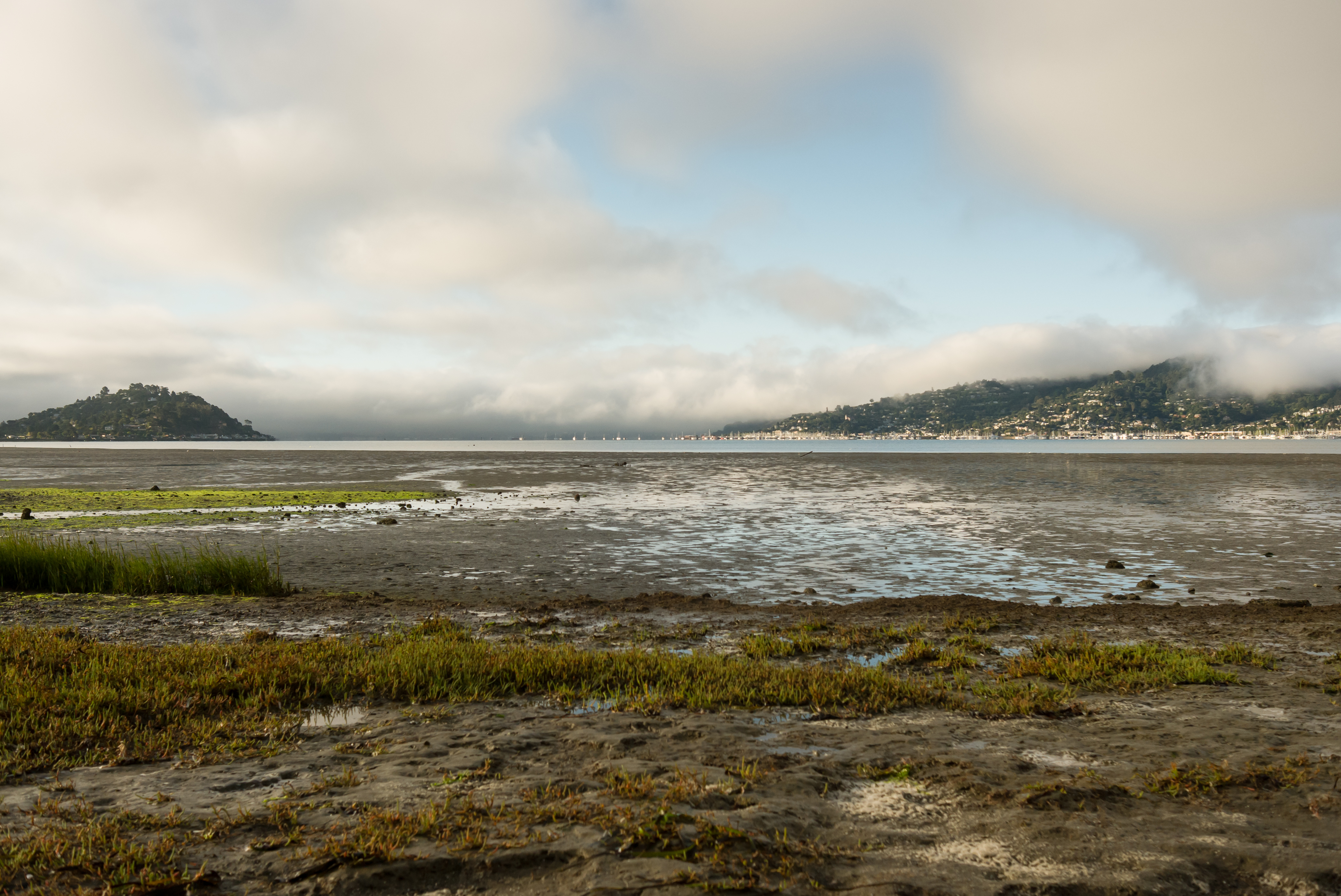 Tidal mudflats and sparse marsh grasses along a calm bay with hills beyond.