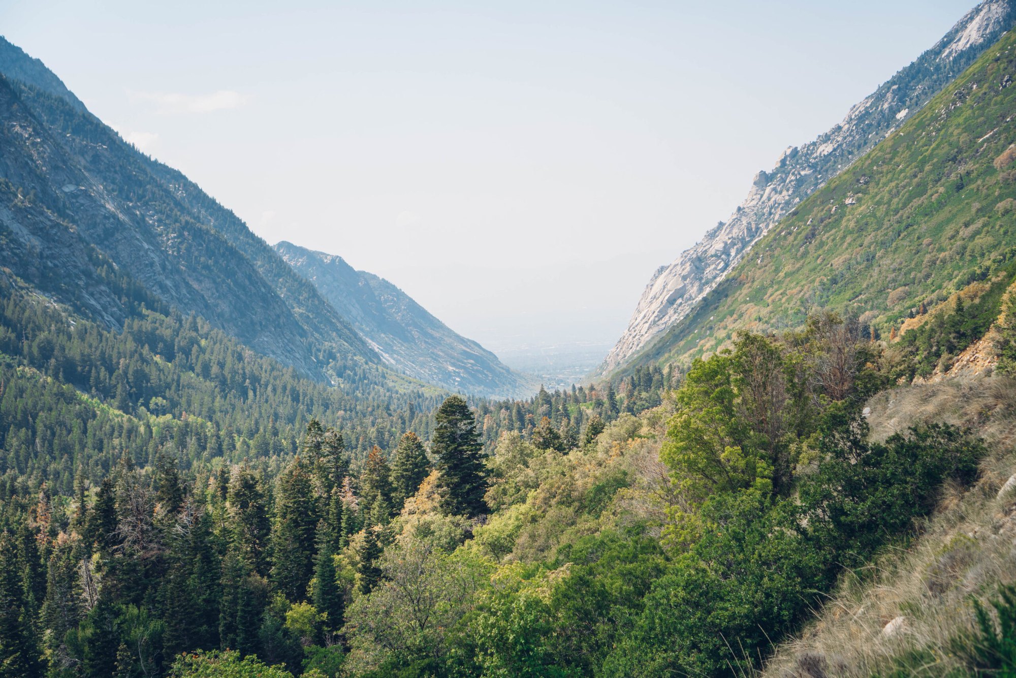 Forested mountain canyon with steep conifer-covered slopes opening to a hazy valley below.