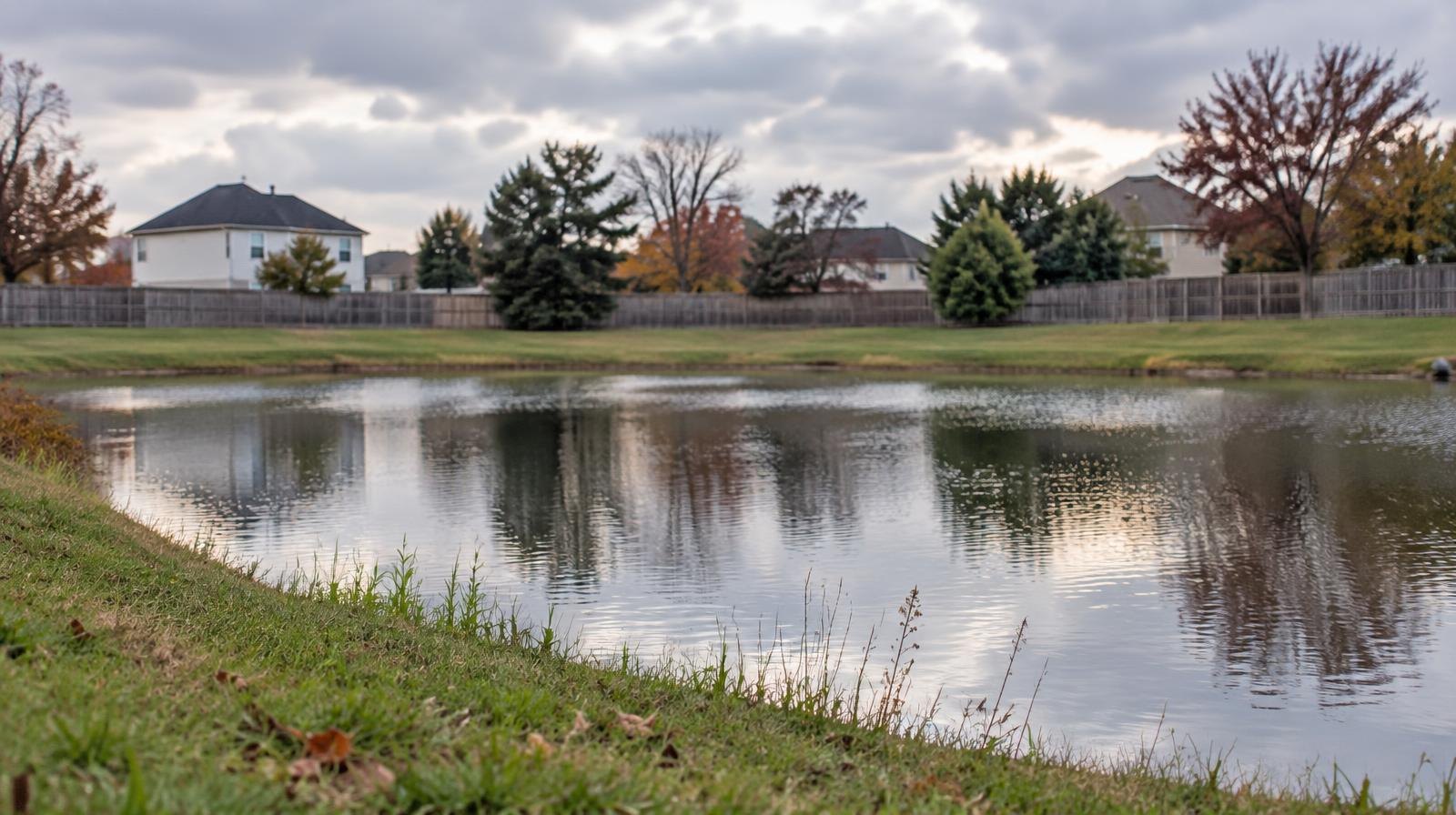 A still pond bordered by grass and a fence under an overcast sky.