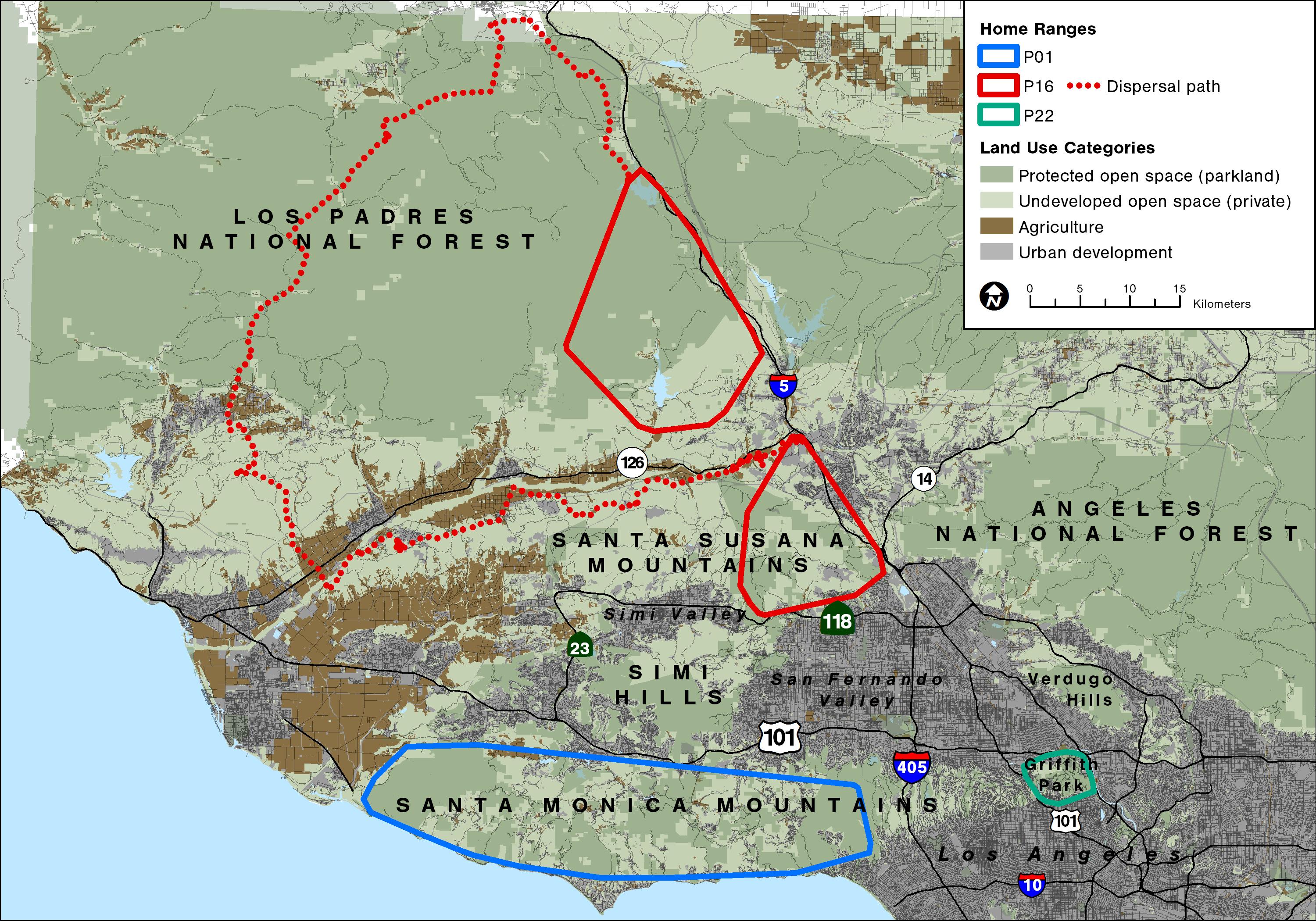 Map comparing mountain lion home ranges across the Los Angeles region, with P-22's territory highlighted near Griffith Park.