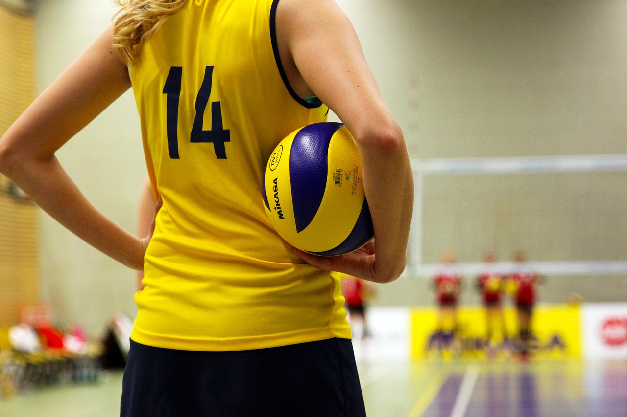 Volleyball, ball, player, team, sport, competition, ball sports, fans, hall, play, championship, playing field, volleyba
