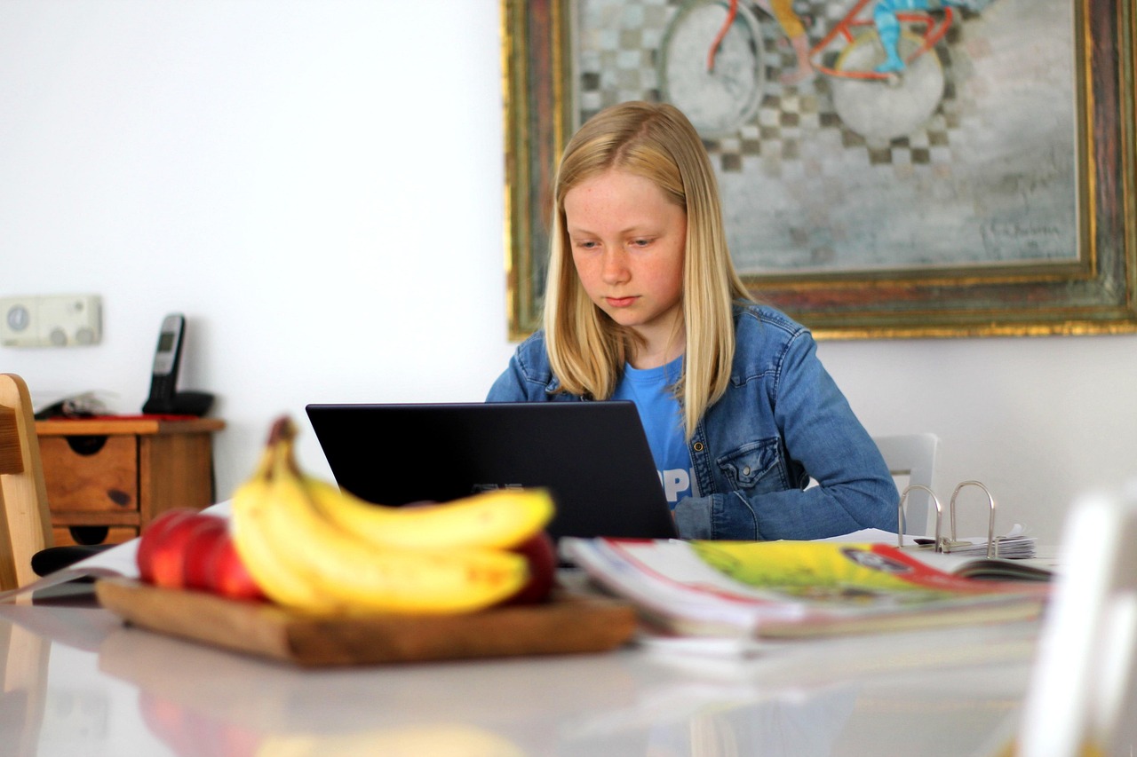 Homeschooling, school, technology, digital, computer, dark, online learning, blue light, children, program, homeschoolin