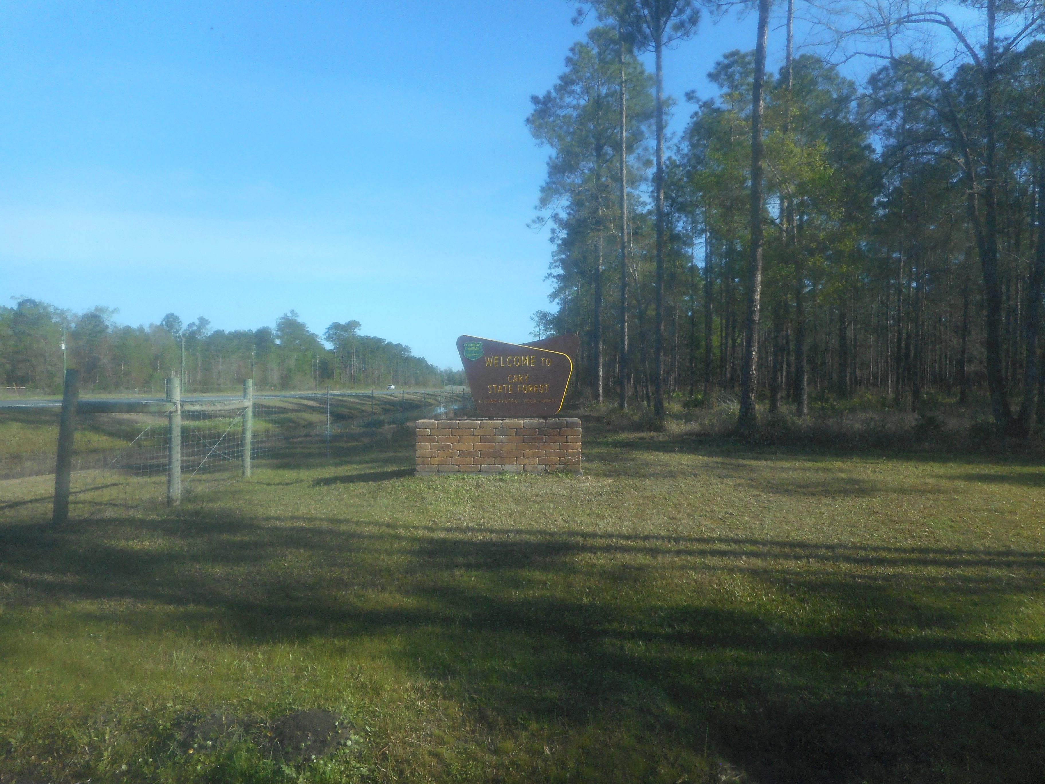Brown welcome sign on a brick pedestal surrounded by pine trees along a Florida highway.