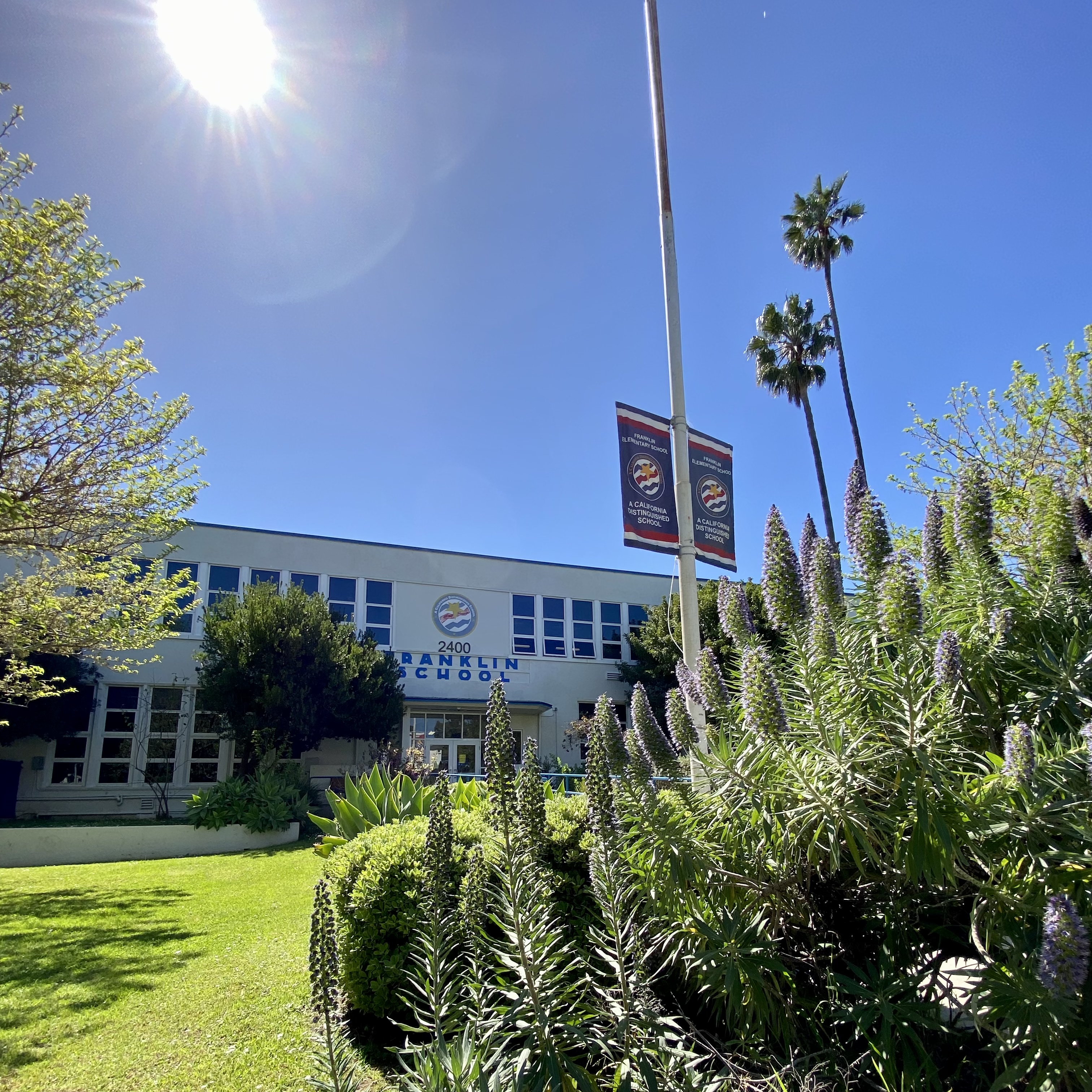 Franklin Elementary School exterior with flagpole, palm trees, and green lawn.