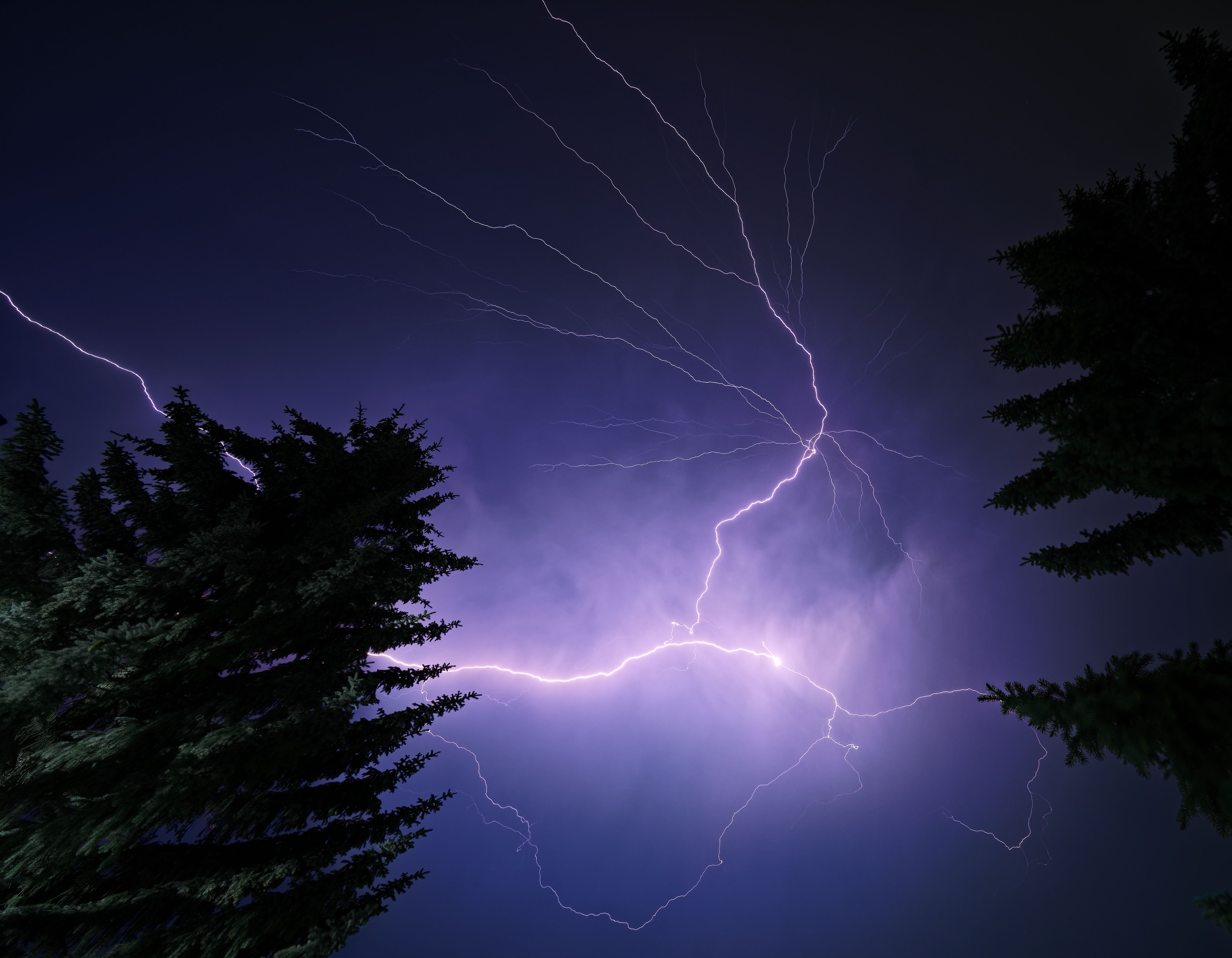 Bright branching lightning bolt against a dark purple-blue night sky with silhouetted trees.