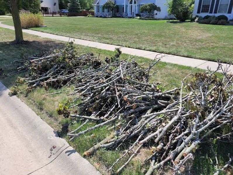 Large pile of broken tree branches stacked curbside along a residential sidewalk.