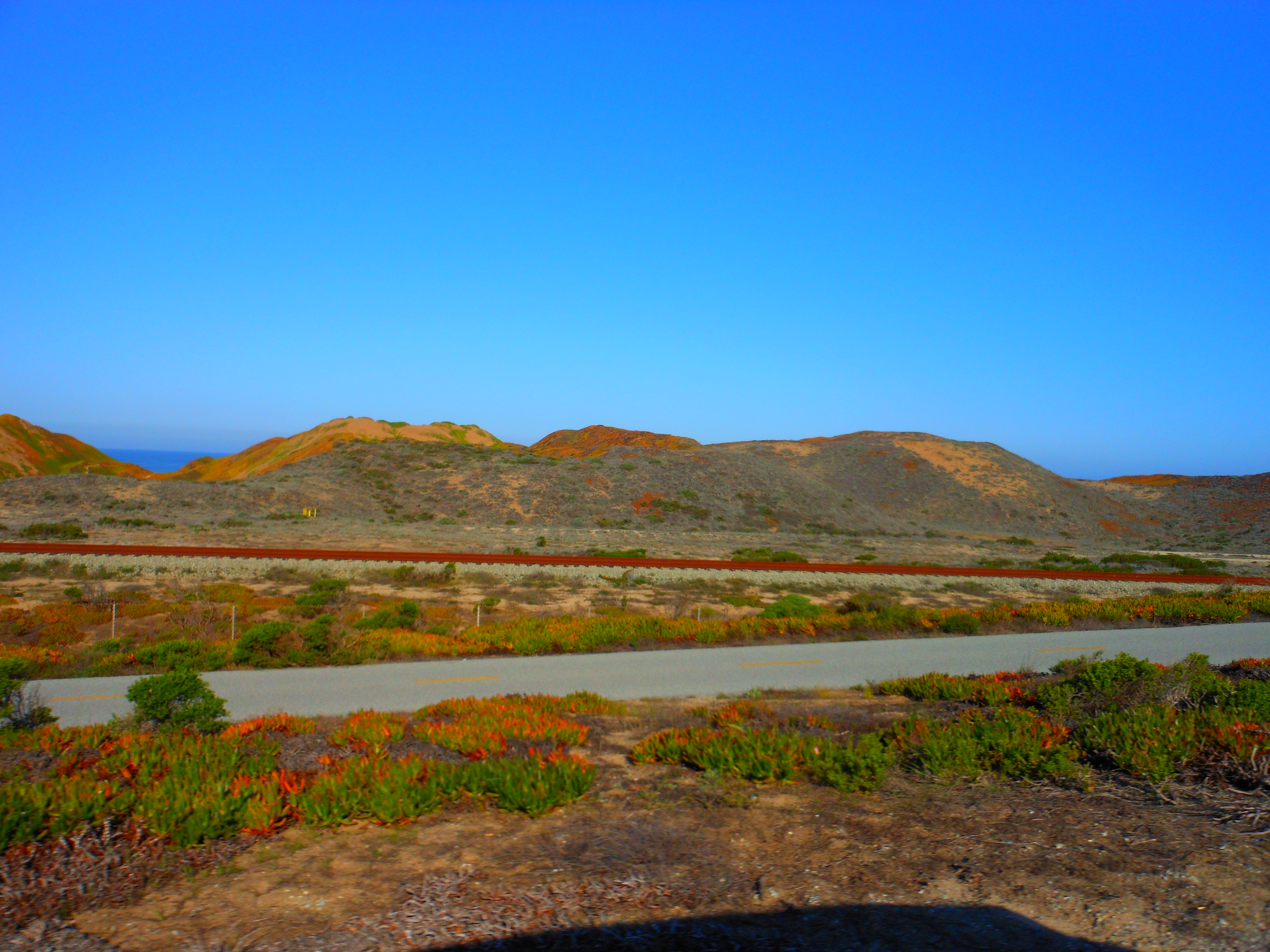 A paved path winds through coastal scrubland and dunes under a clear blue sky.