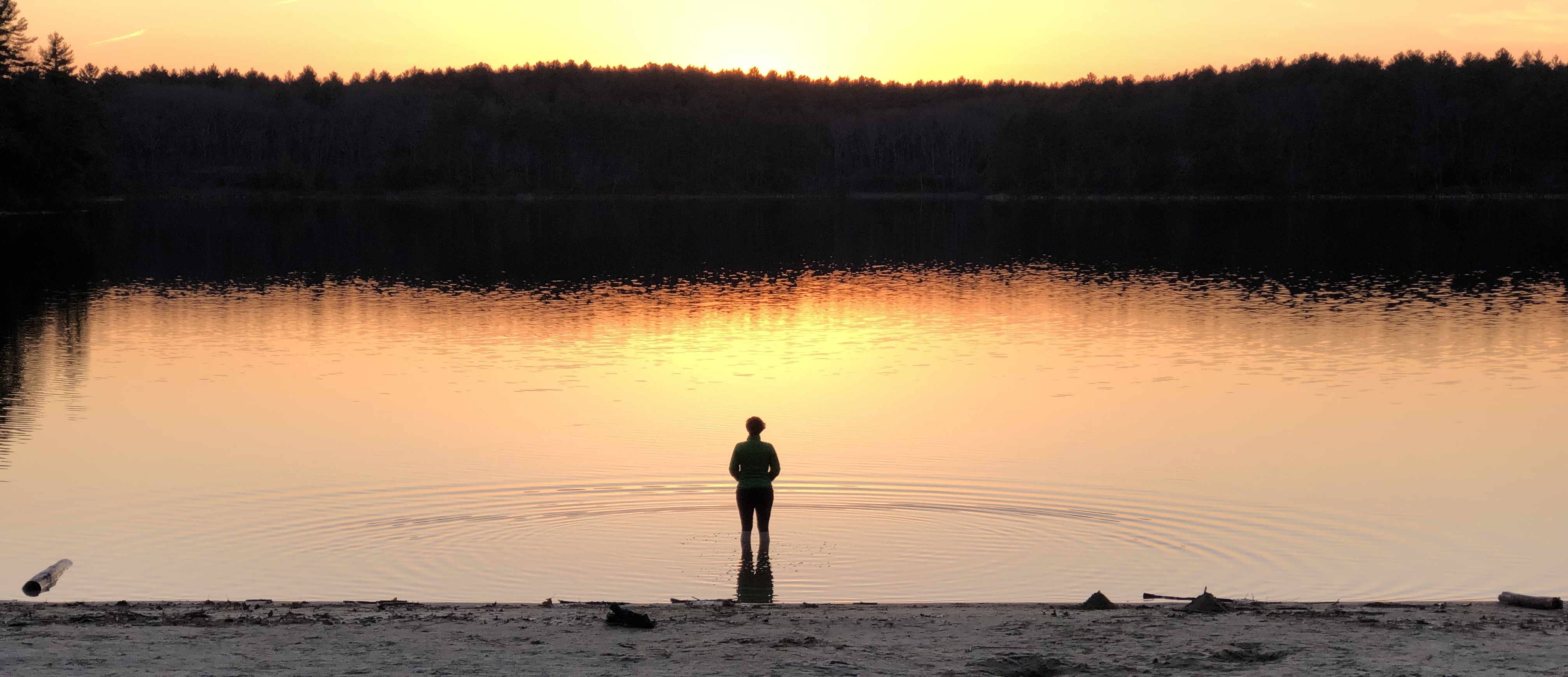 Silhouetted person wading at the shoreline of a still pond at sunset, treeline reflected in the water.