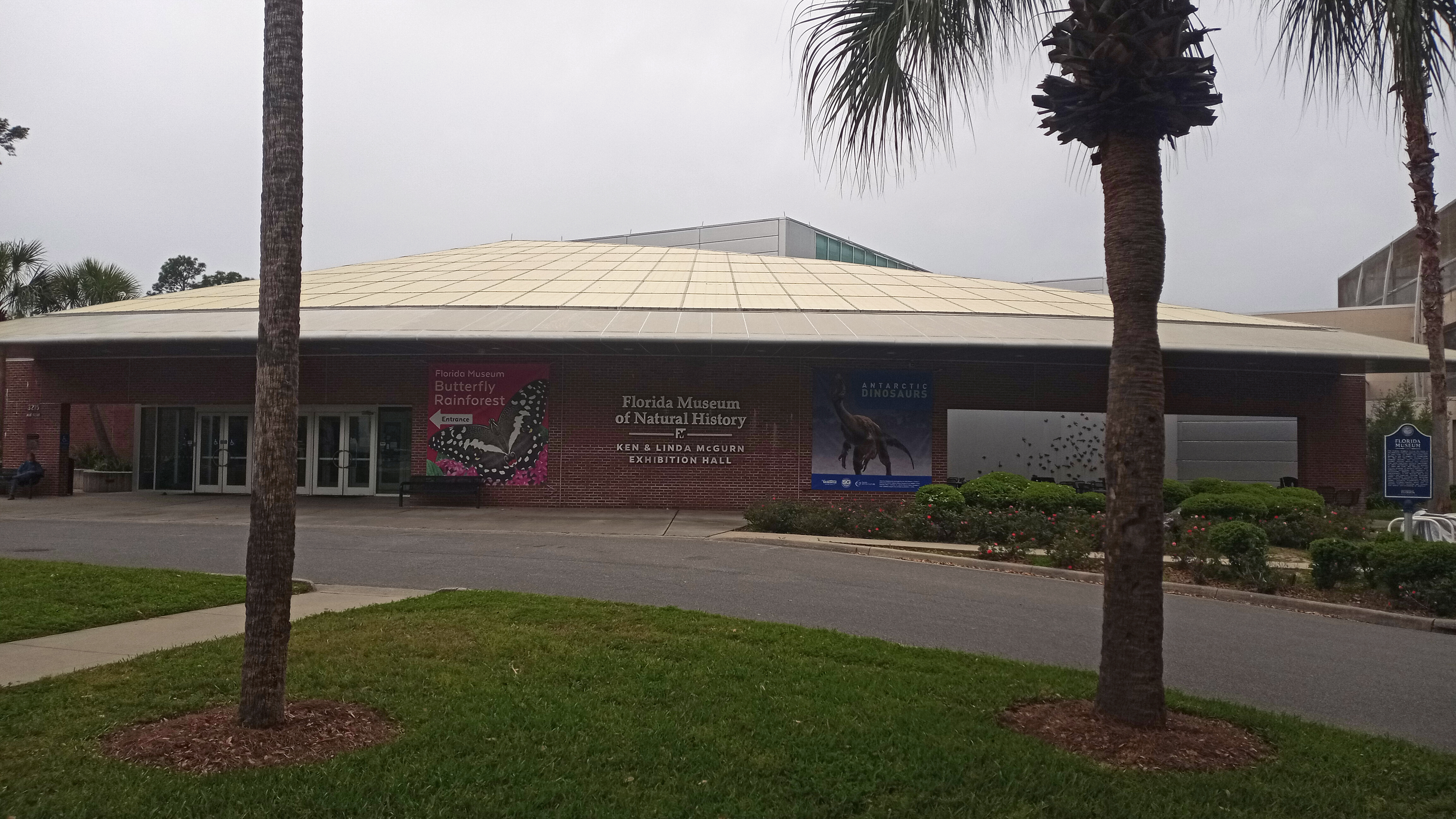 Brick university building with palm trees lining the walkway in front.