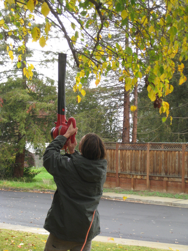 A person in a green jacket using a leaf blower aimed upward at tree branches in a residential yard.