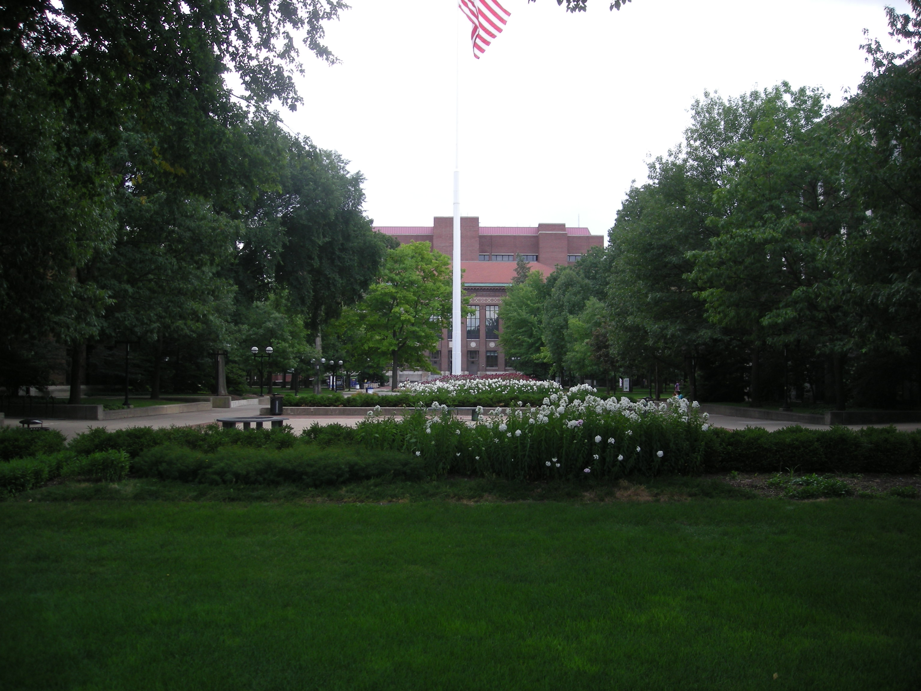 Open campus green with a flagpole flying an American flag, surrounded by trees and a brick building.