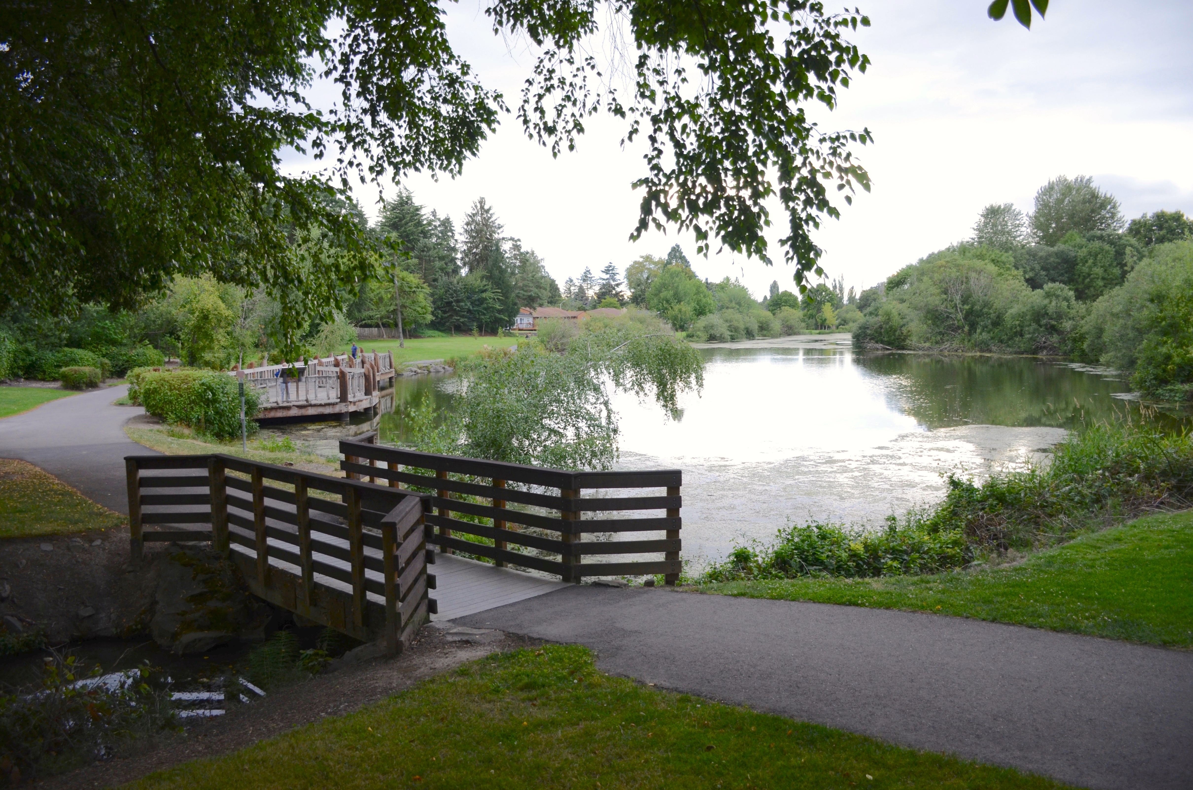 A calm lake with a wooden footbridge and paved path surrounded by green trees.