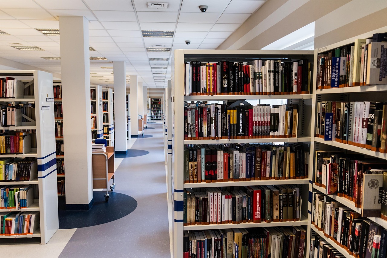 Library, books, reading room, education, knowledge, book, borrow, kielce, books in the library, to read, library, librar
