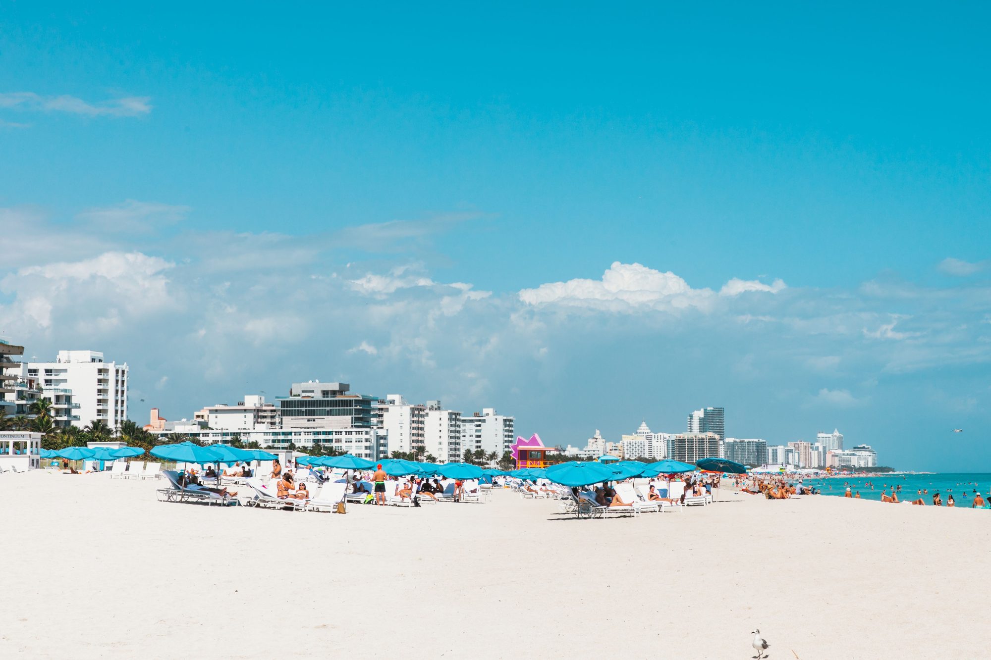 Vibrant Miami Beach scene with blue umbrellas and city skyline under a sunny sky.
