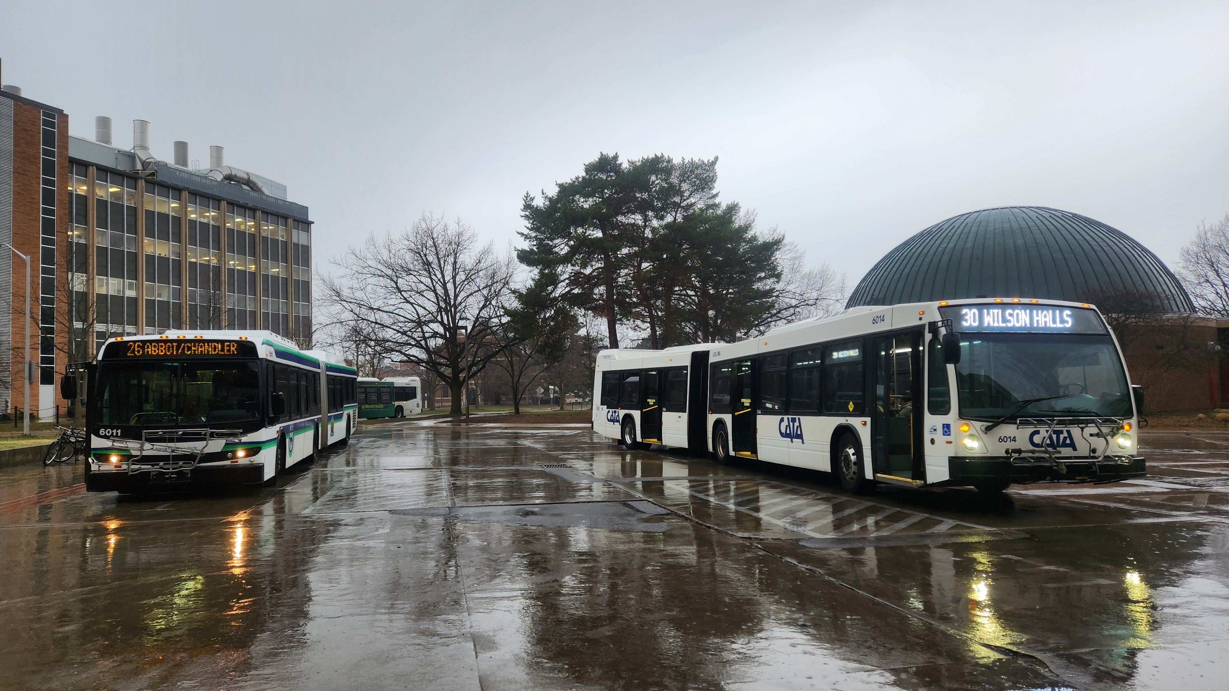 Two articulated CATA buses parked on a wet surface at a transit center on a rainy day.