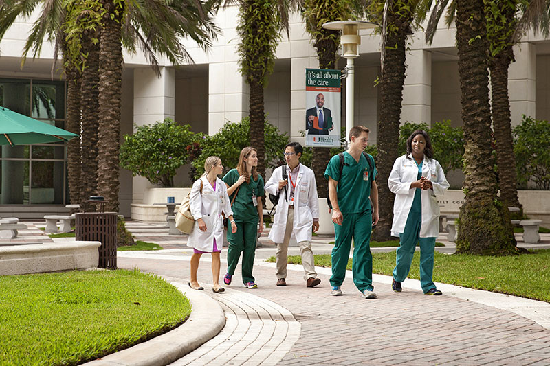 Medical professionals in white coats and scrubs walking along a brick campus pathway with palm trees.
