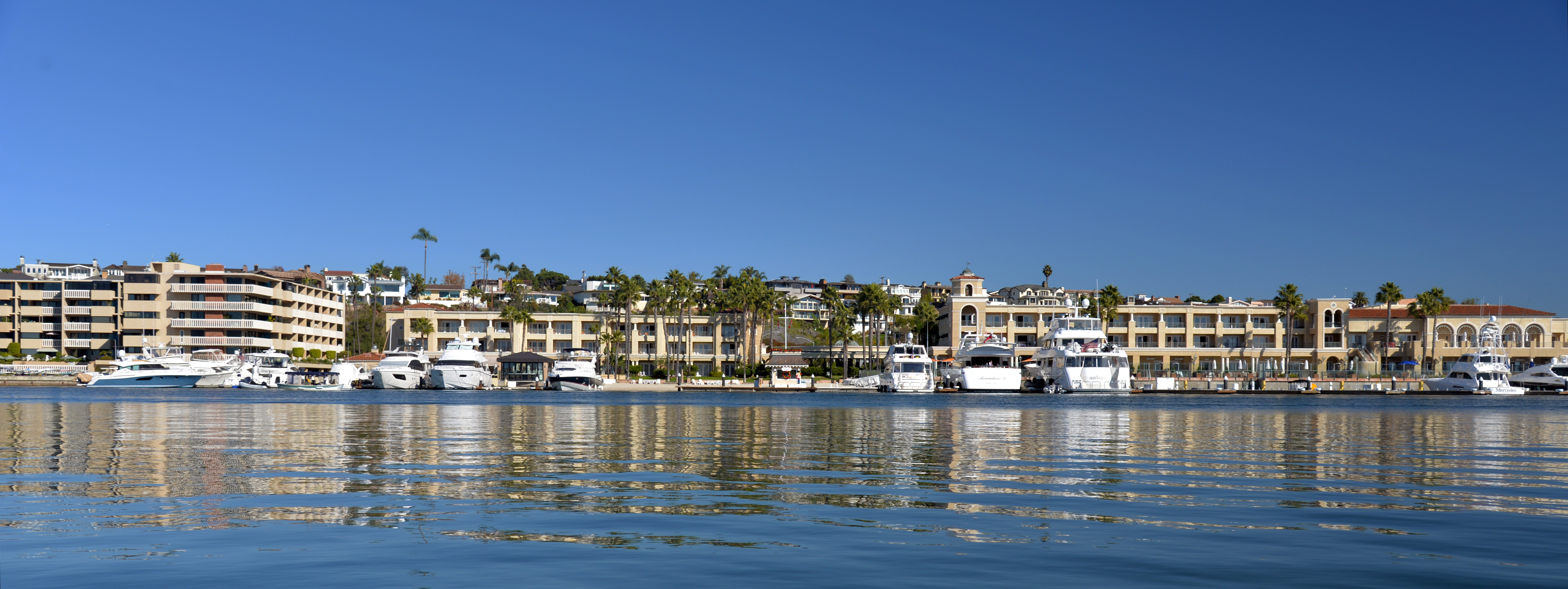 Waterfront resort with marina, docked boats, and palm trees viewed from the bay.