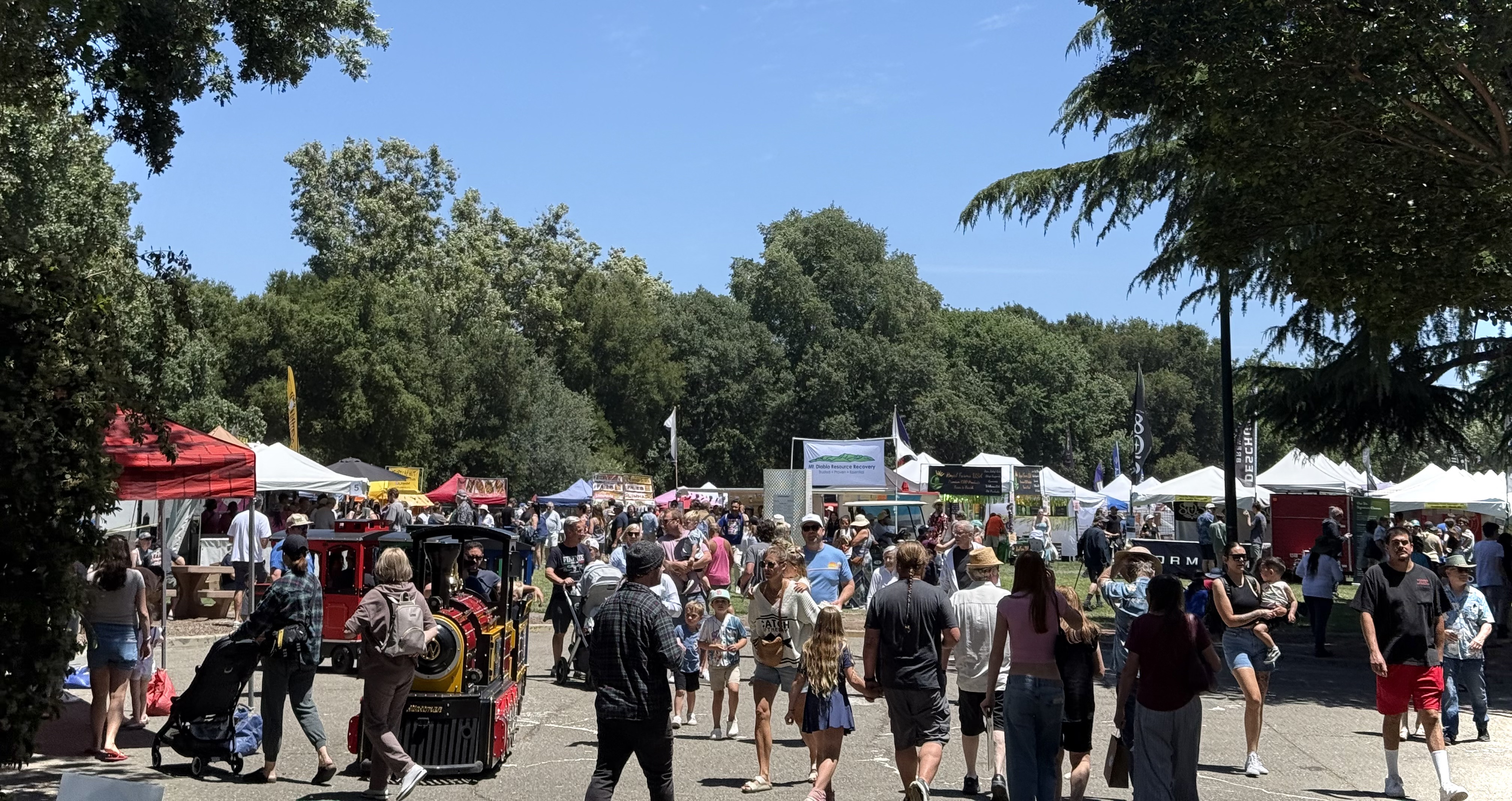 Large crowd at an outdoor festival in a sunny park with white vendor tents and trees.