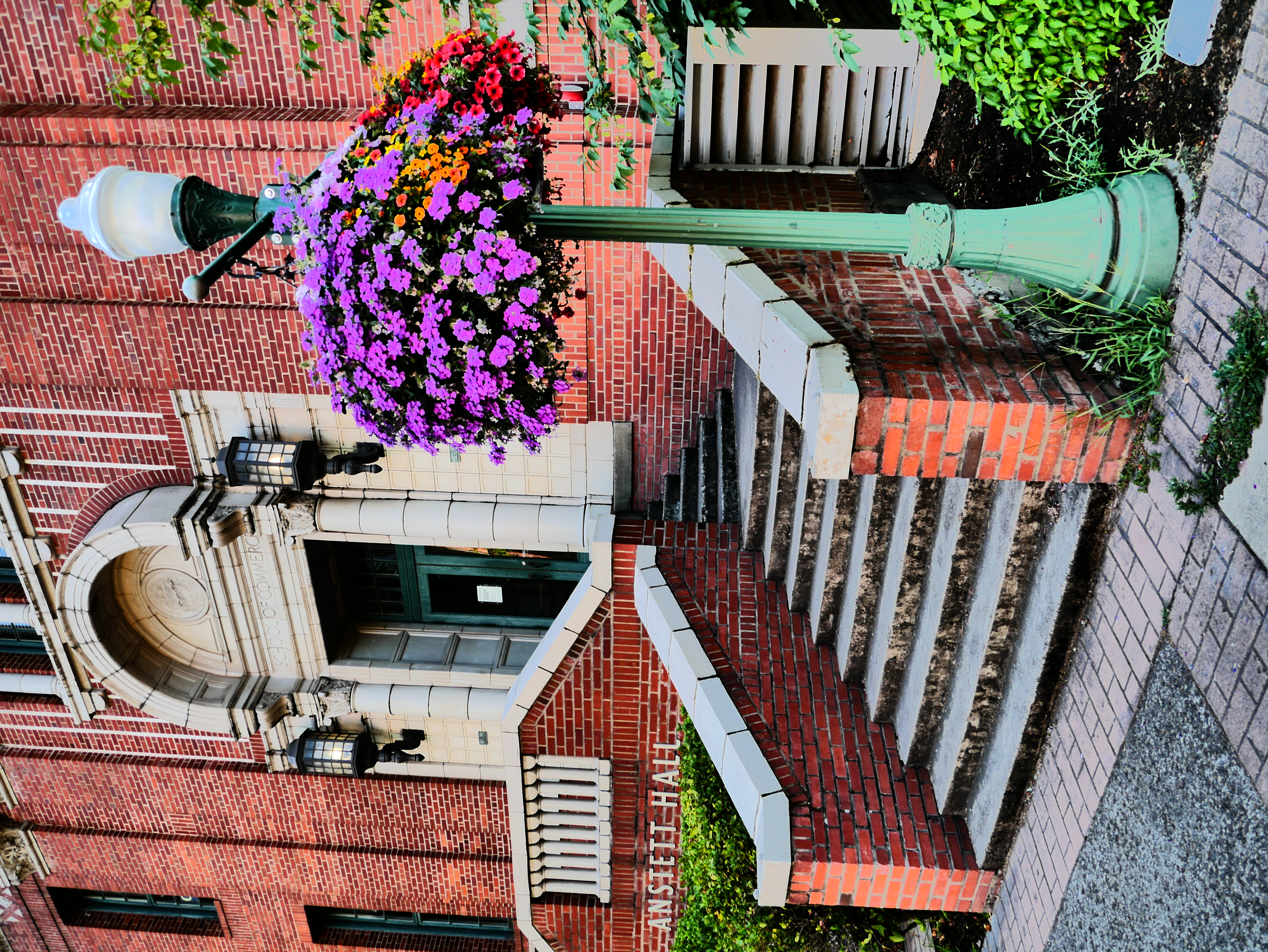 Red-brick university building with arched entrance and flower-adorned lamp post.